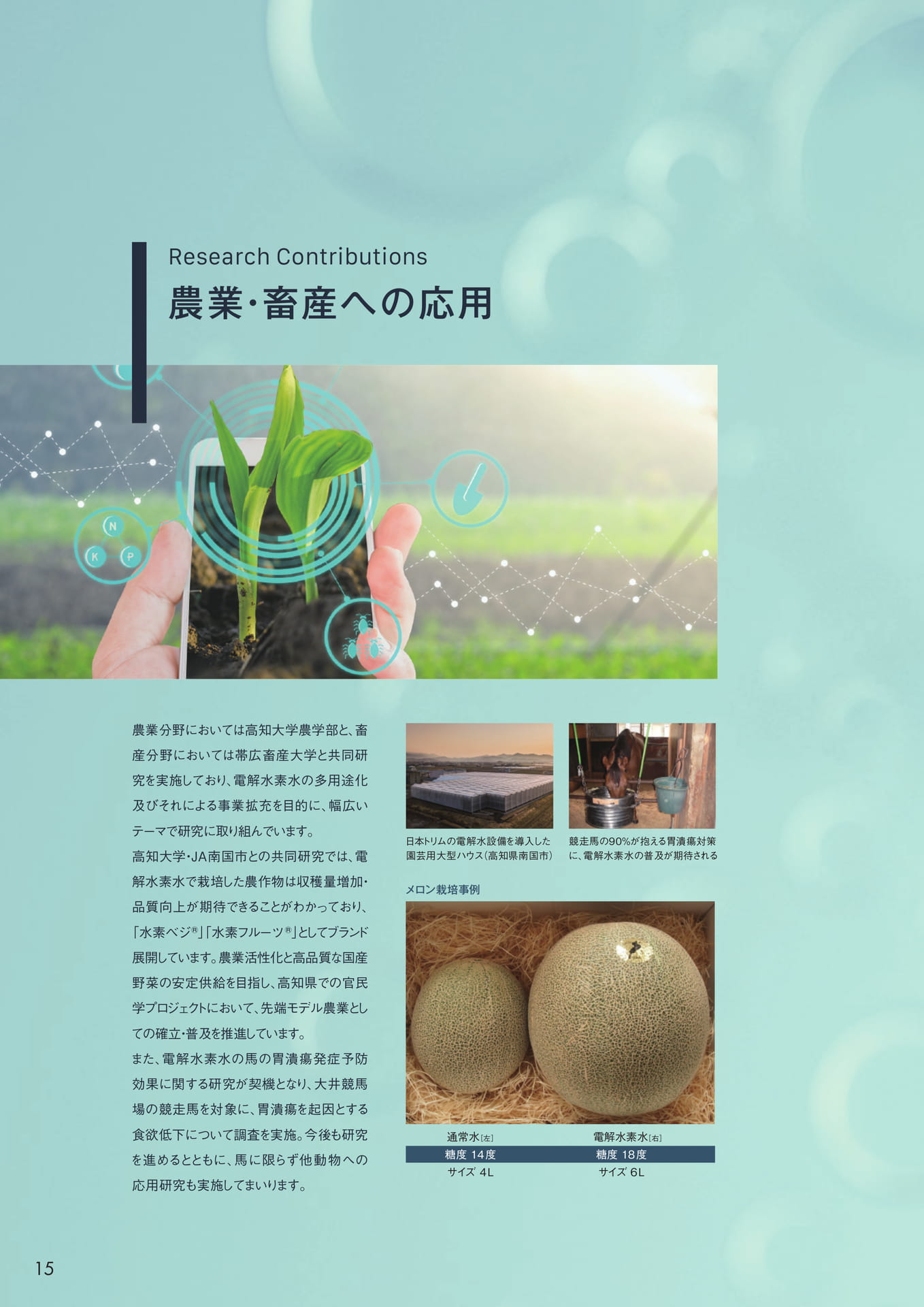 Page (追加)16