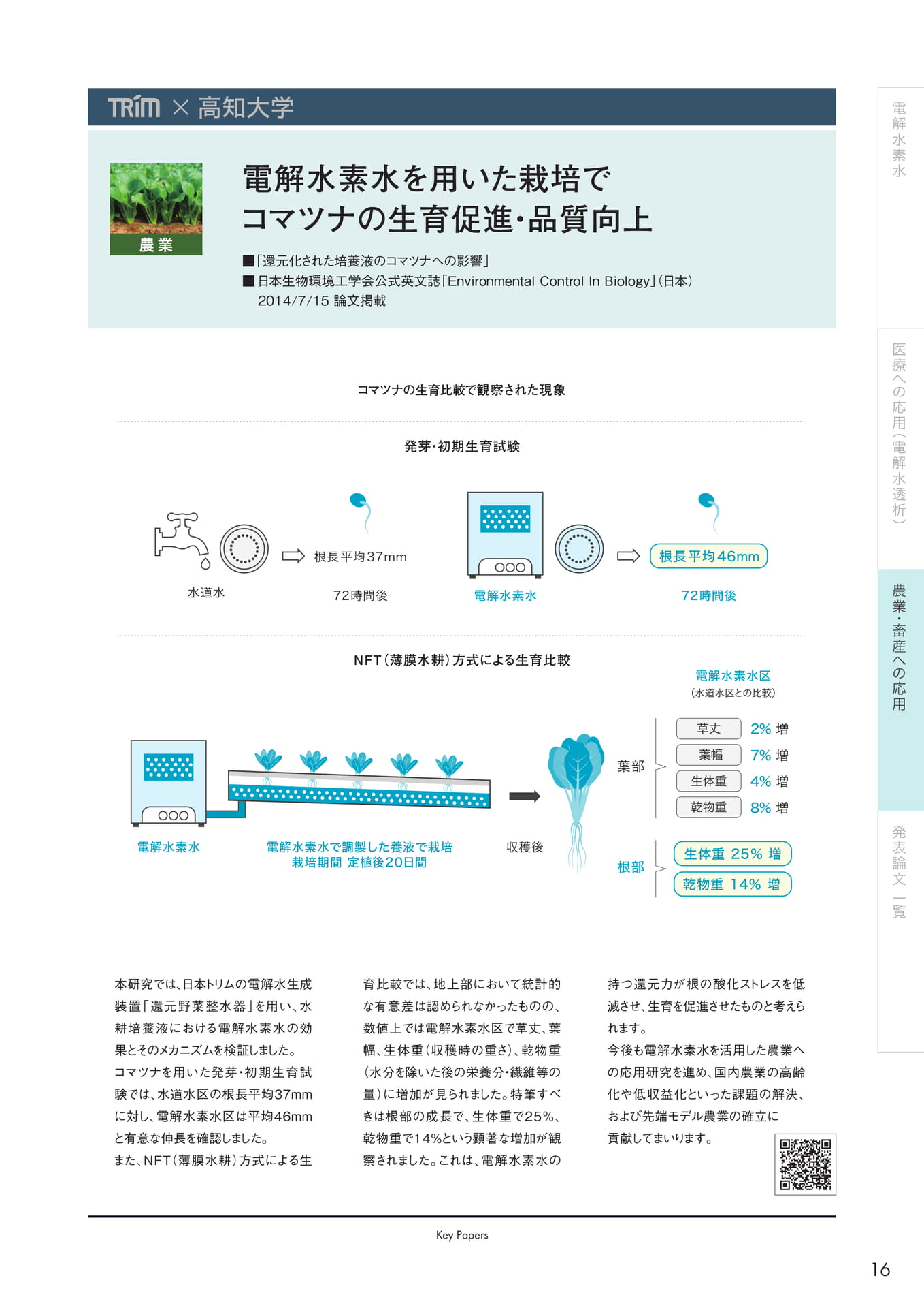 Page (追加)17