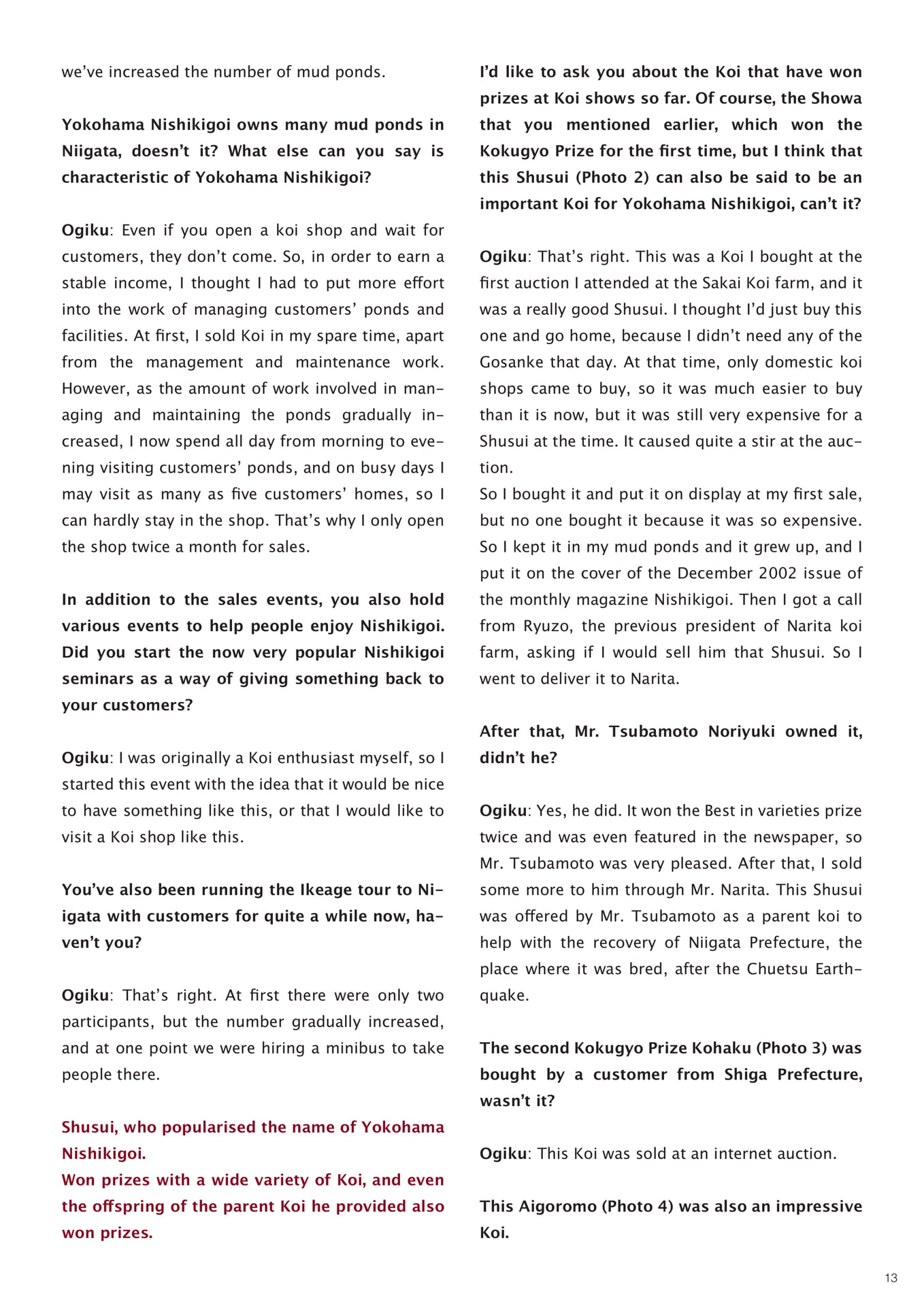 Page 13