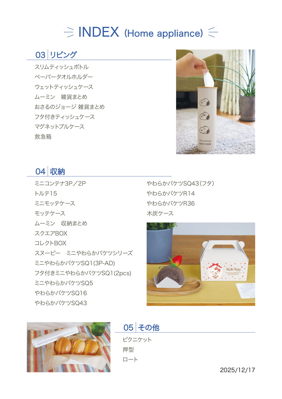 Page (追加)1