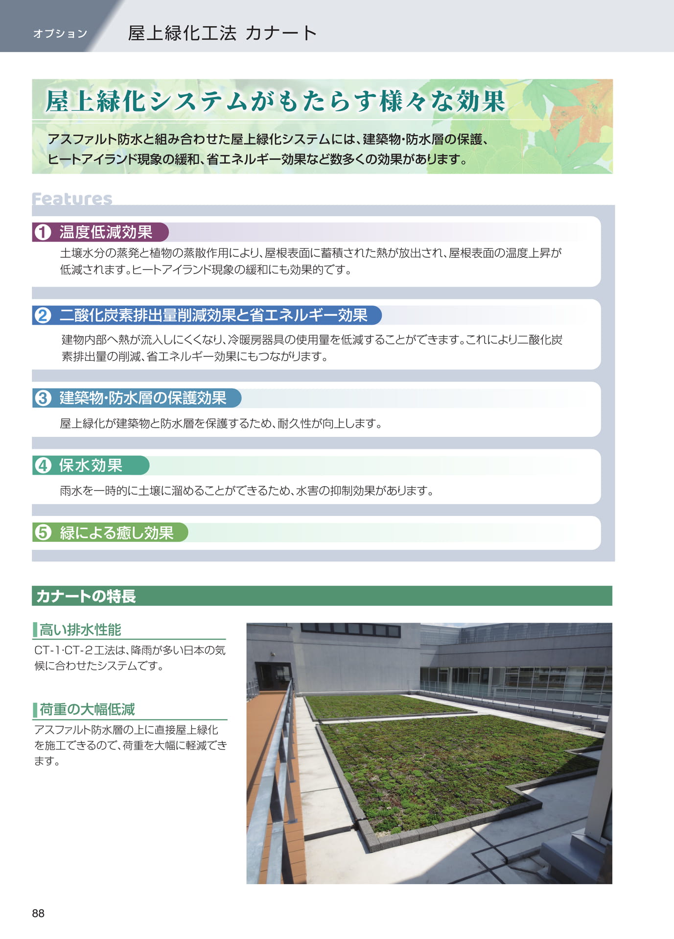 オプション（屋上緑化工法）