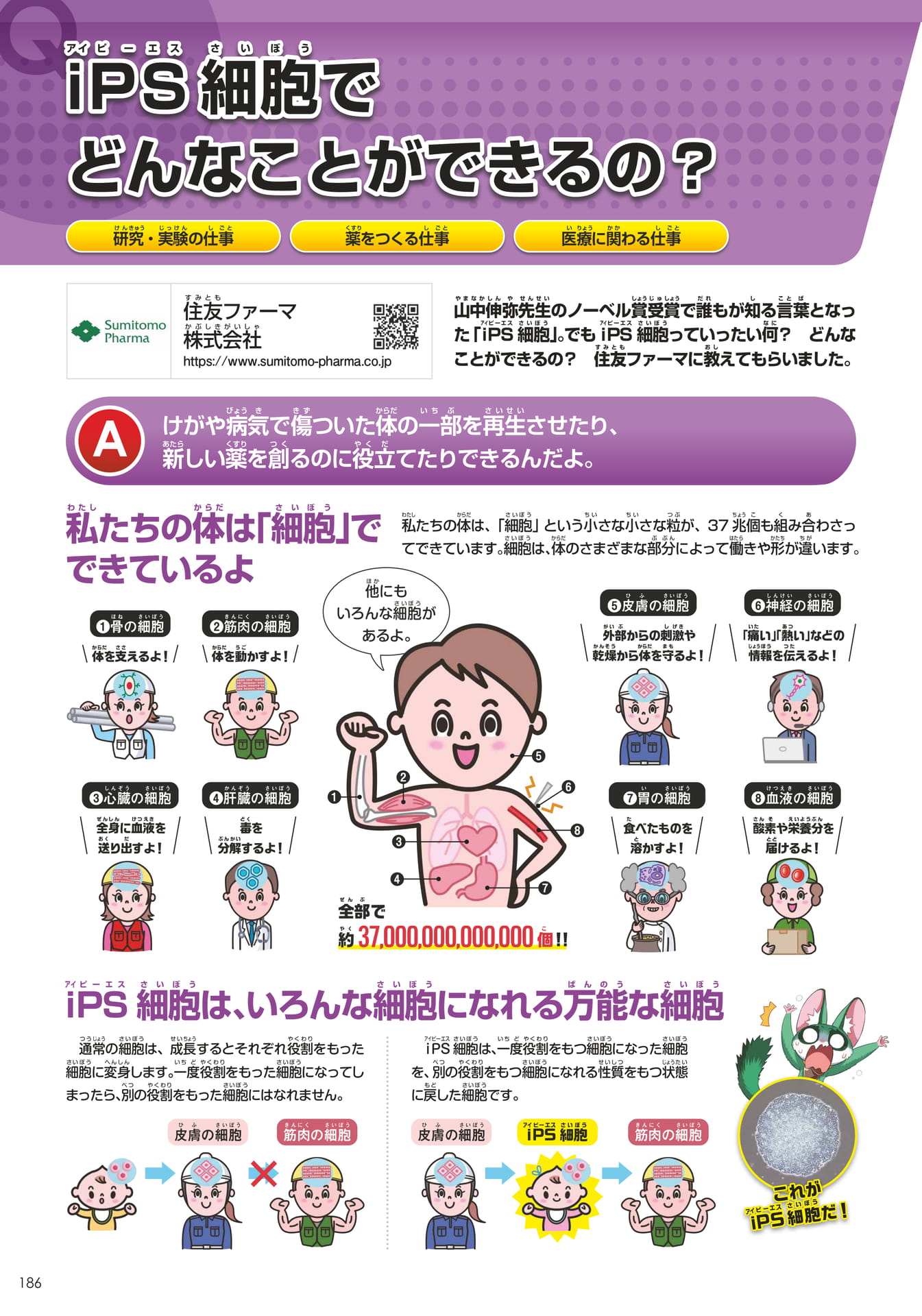 住友ファーマ