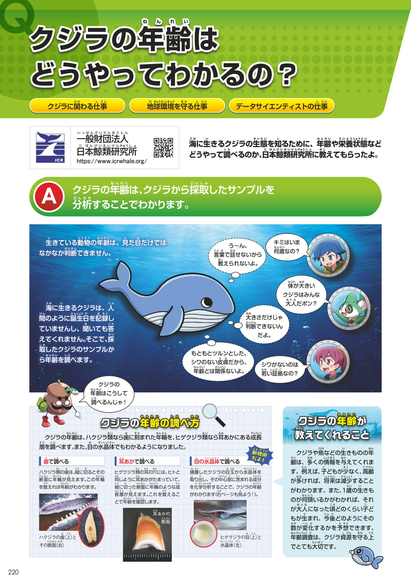 日本鯨類研究所