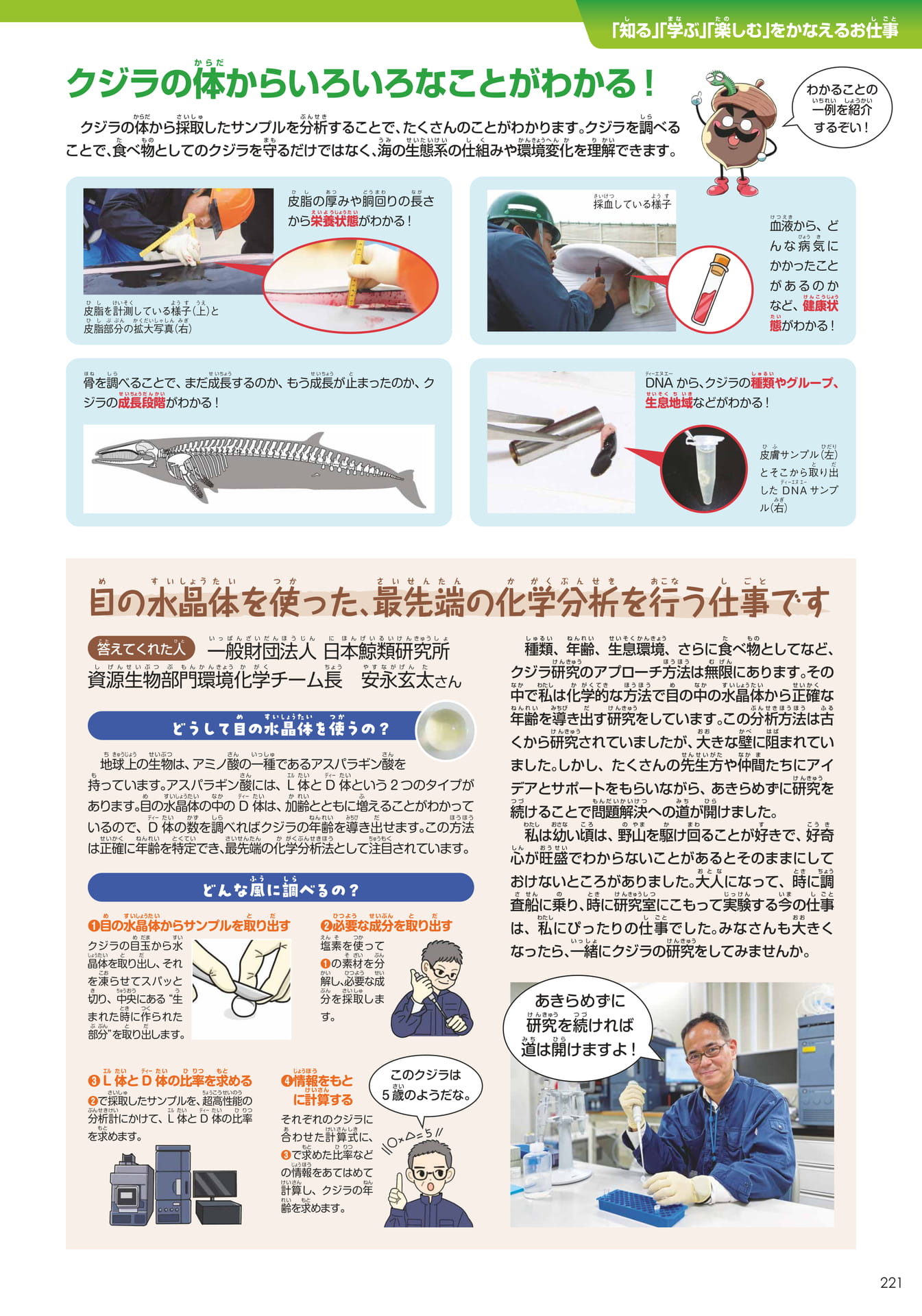 日本鯨類研究所