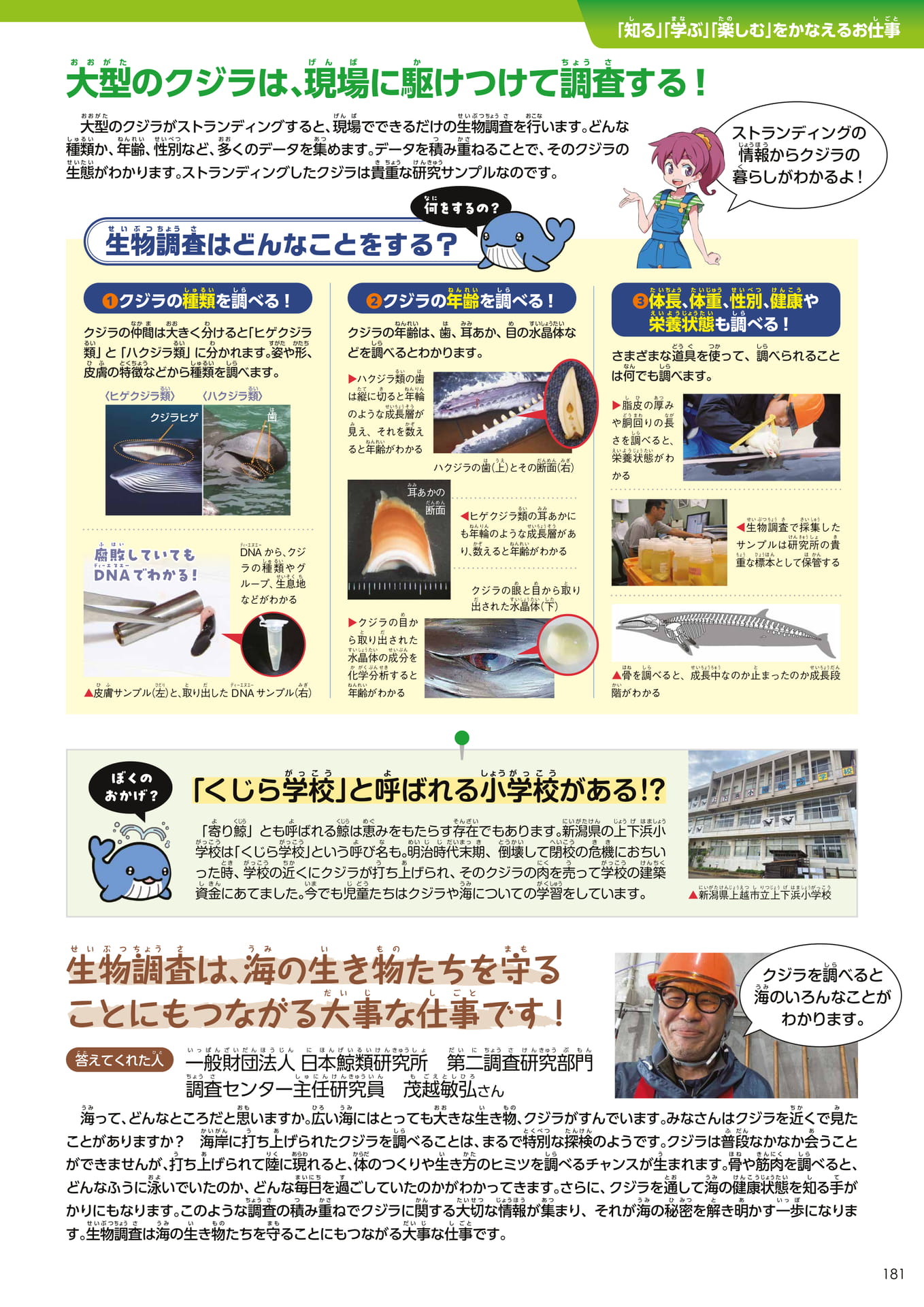 Page 181