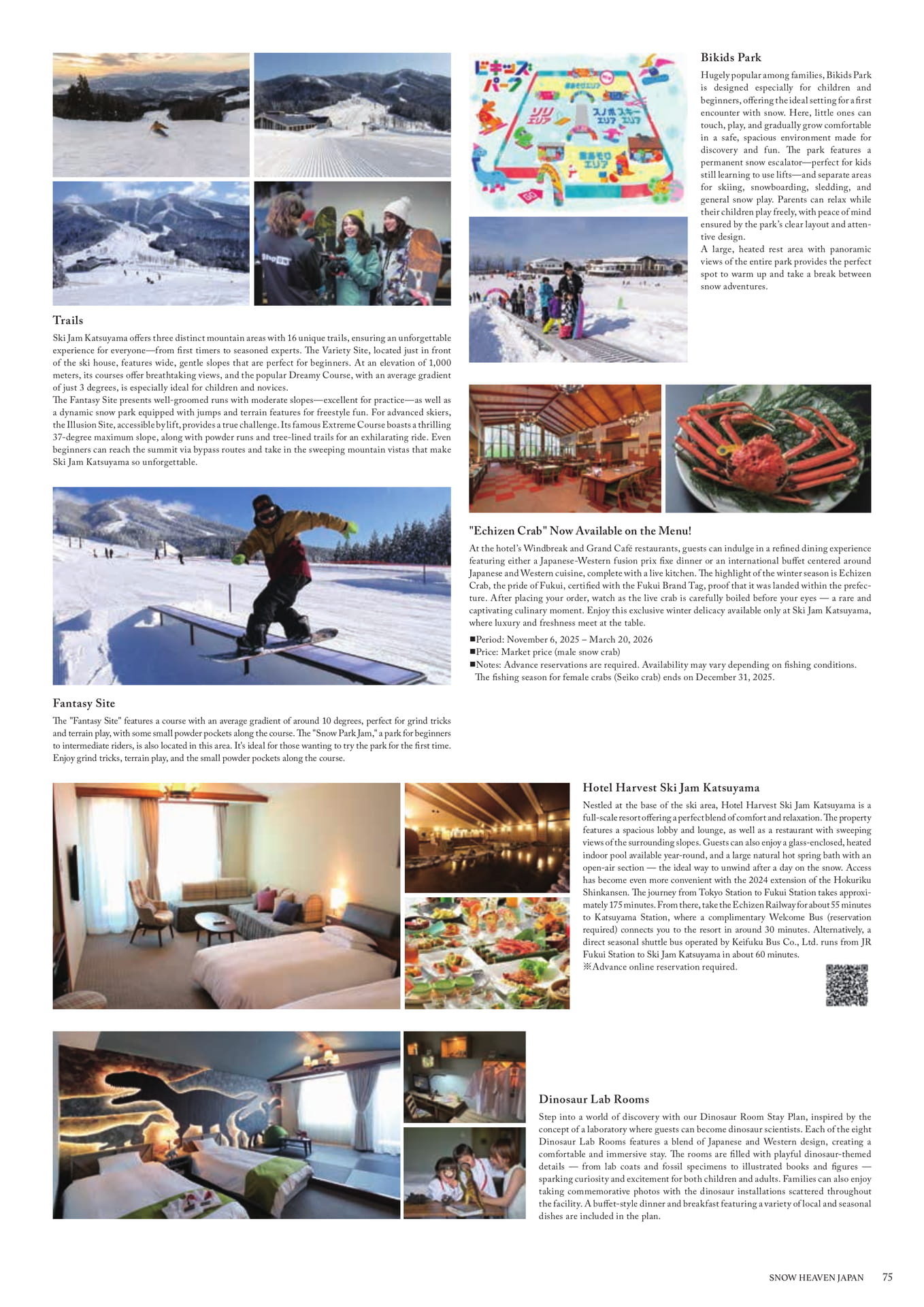 Page (追加)075