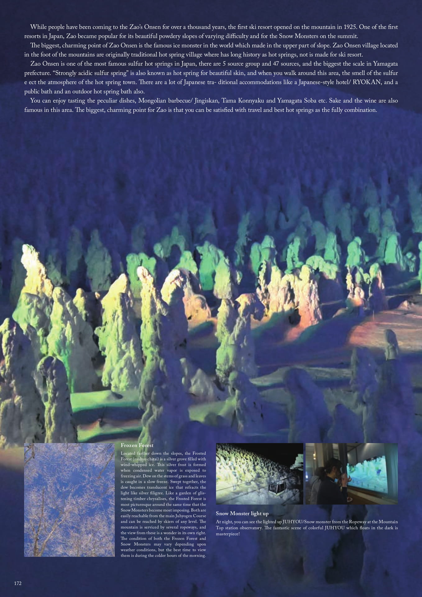 Page (追加)172
