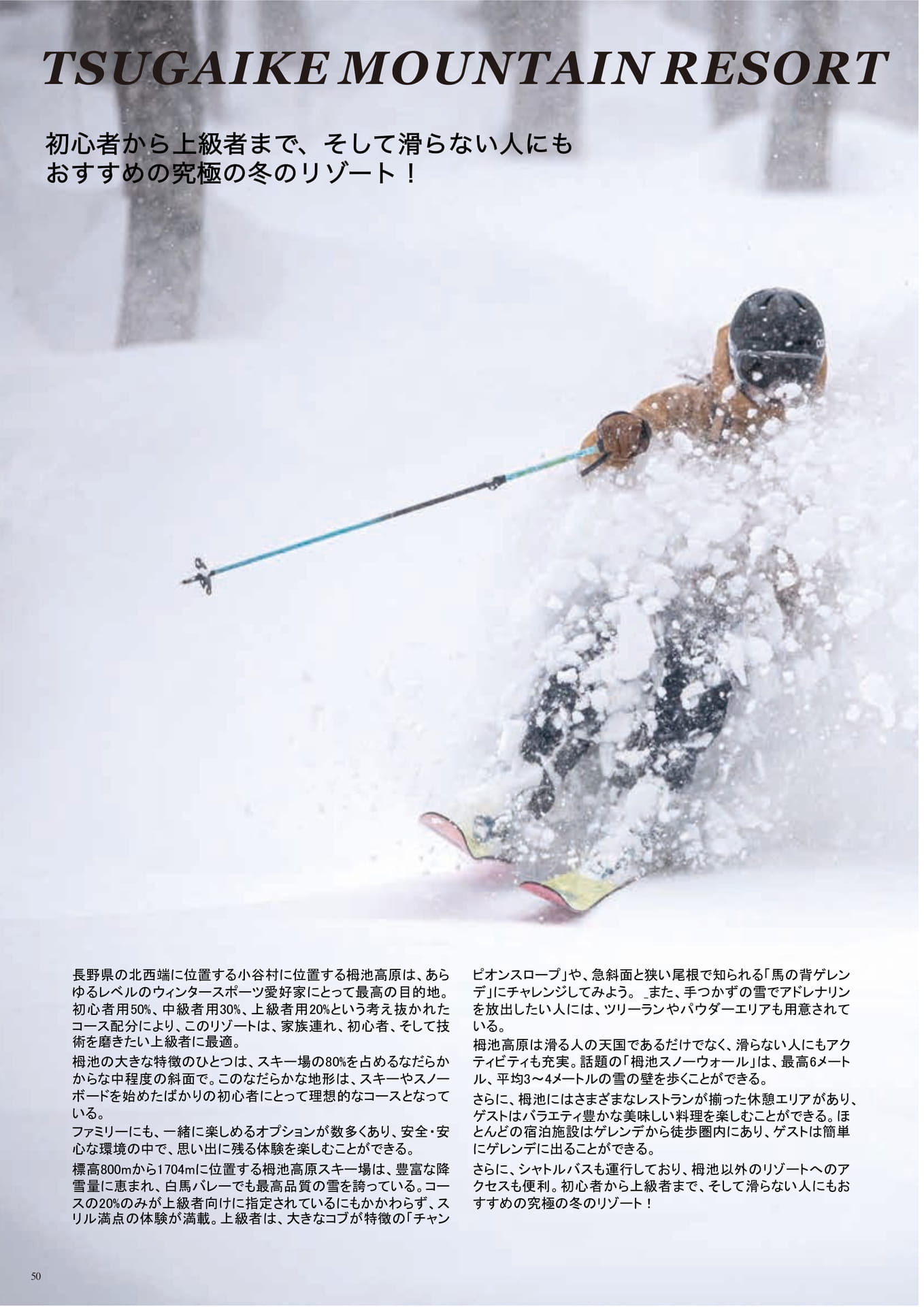 Page (追加)050