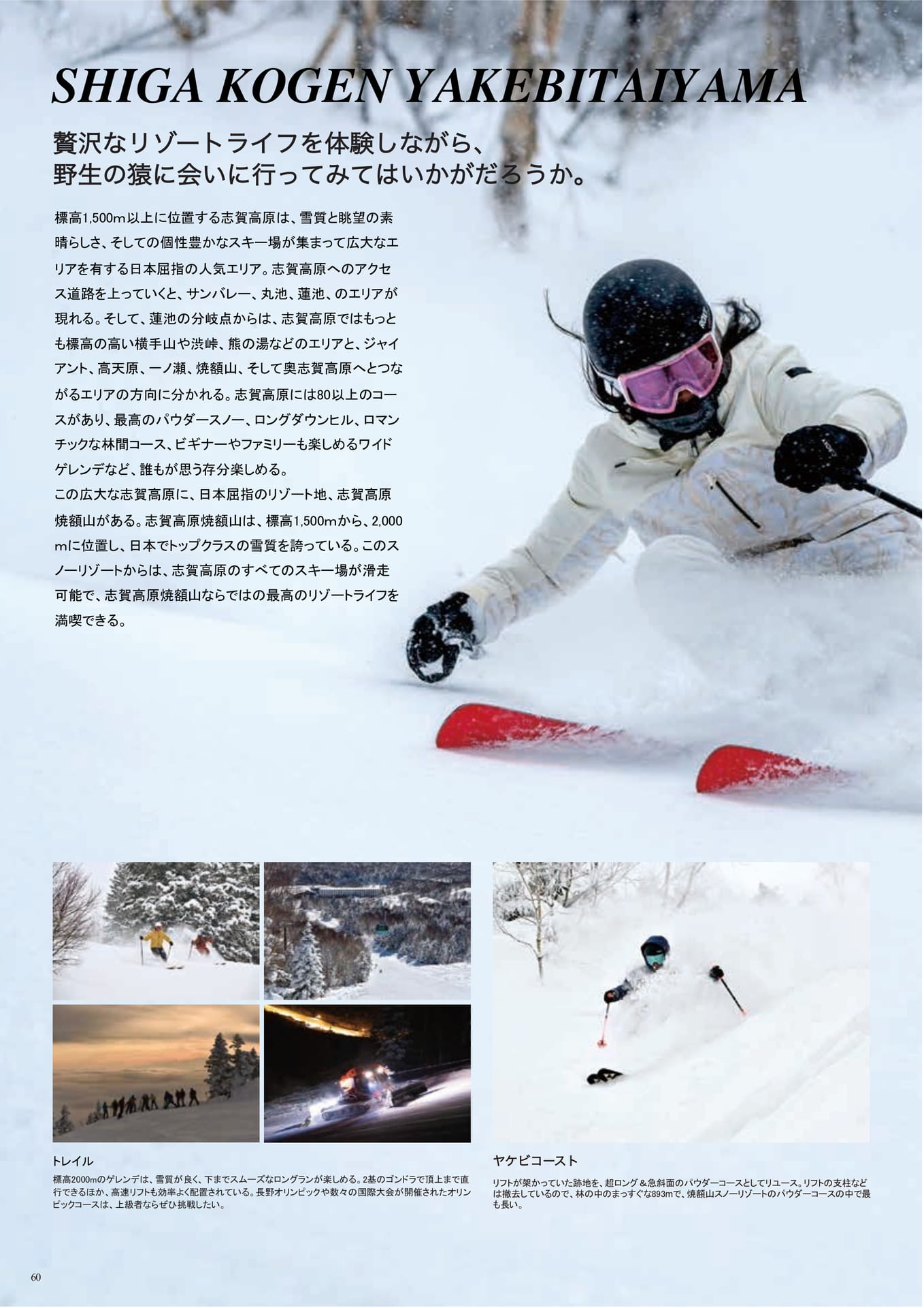 Page (追加)060