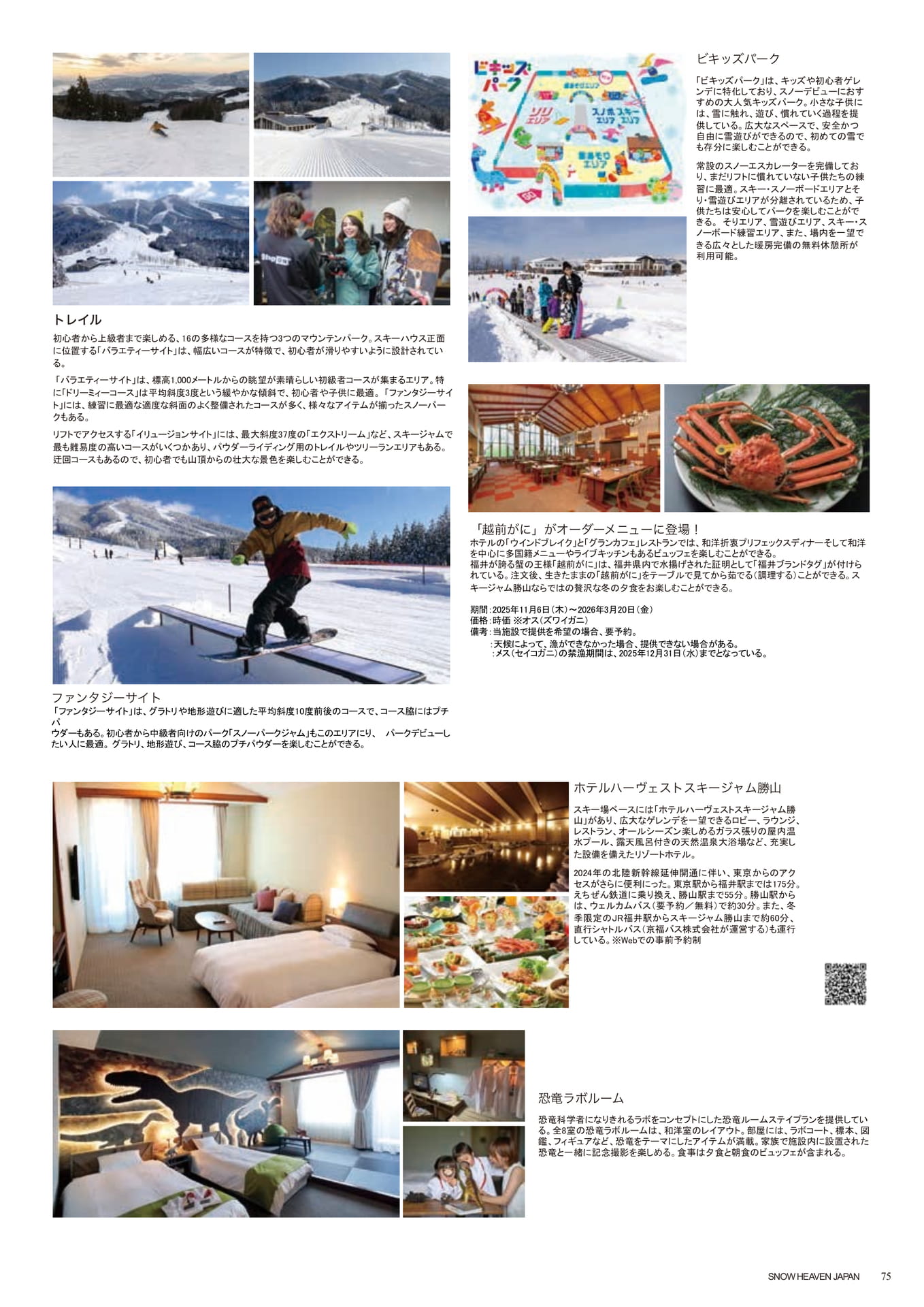 Page (追加)075