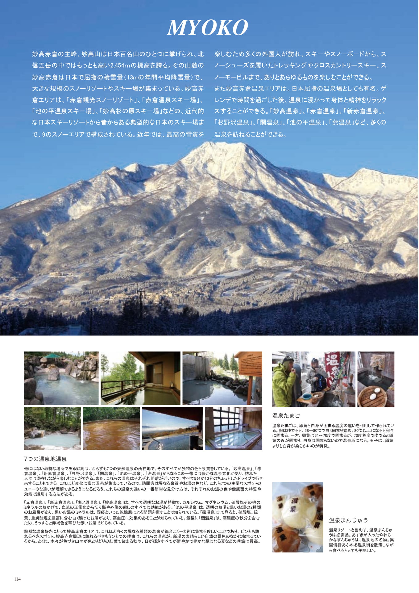 Page (追加)114