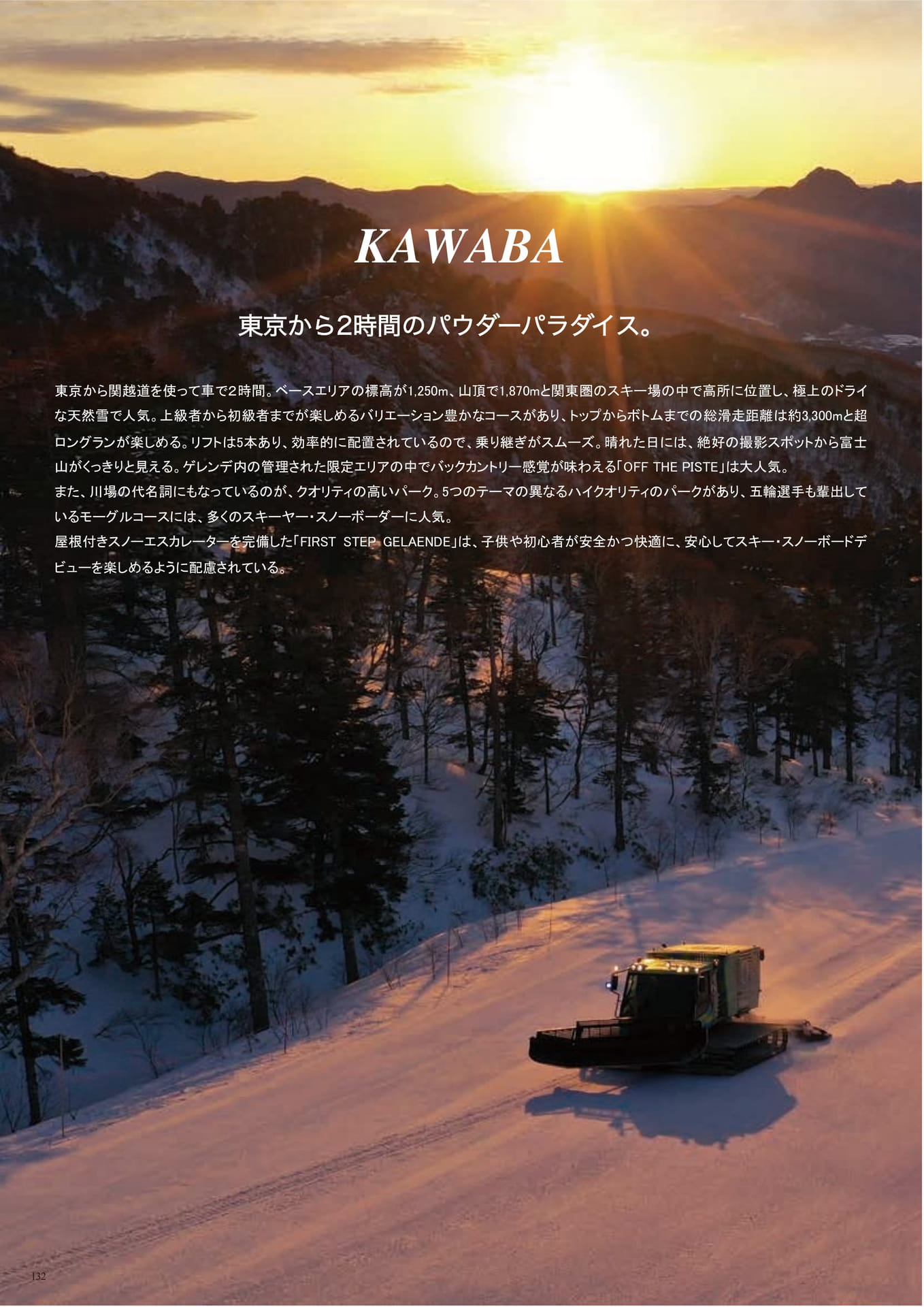 Page (追加)132