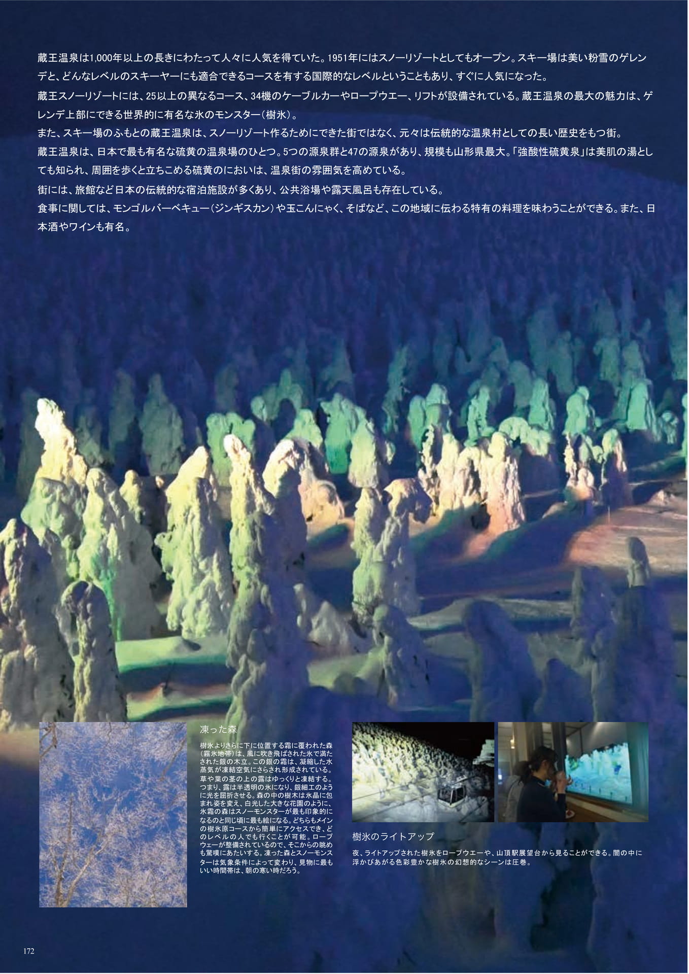 Page (追加)172