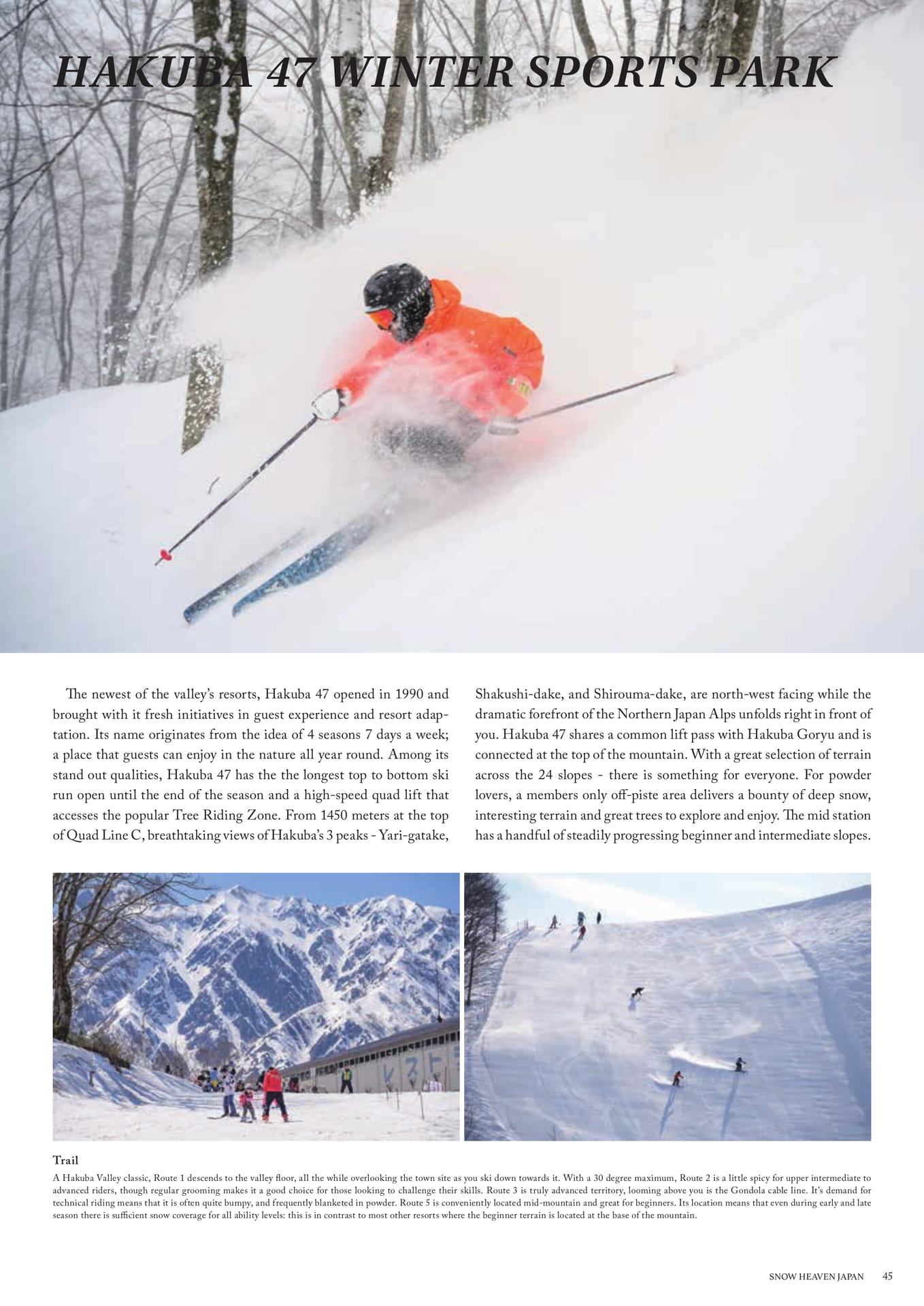 Page (追加)31