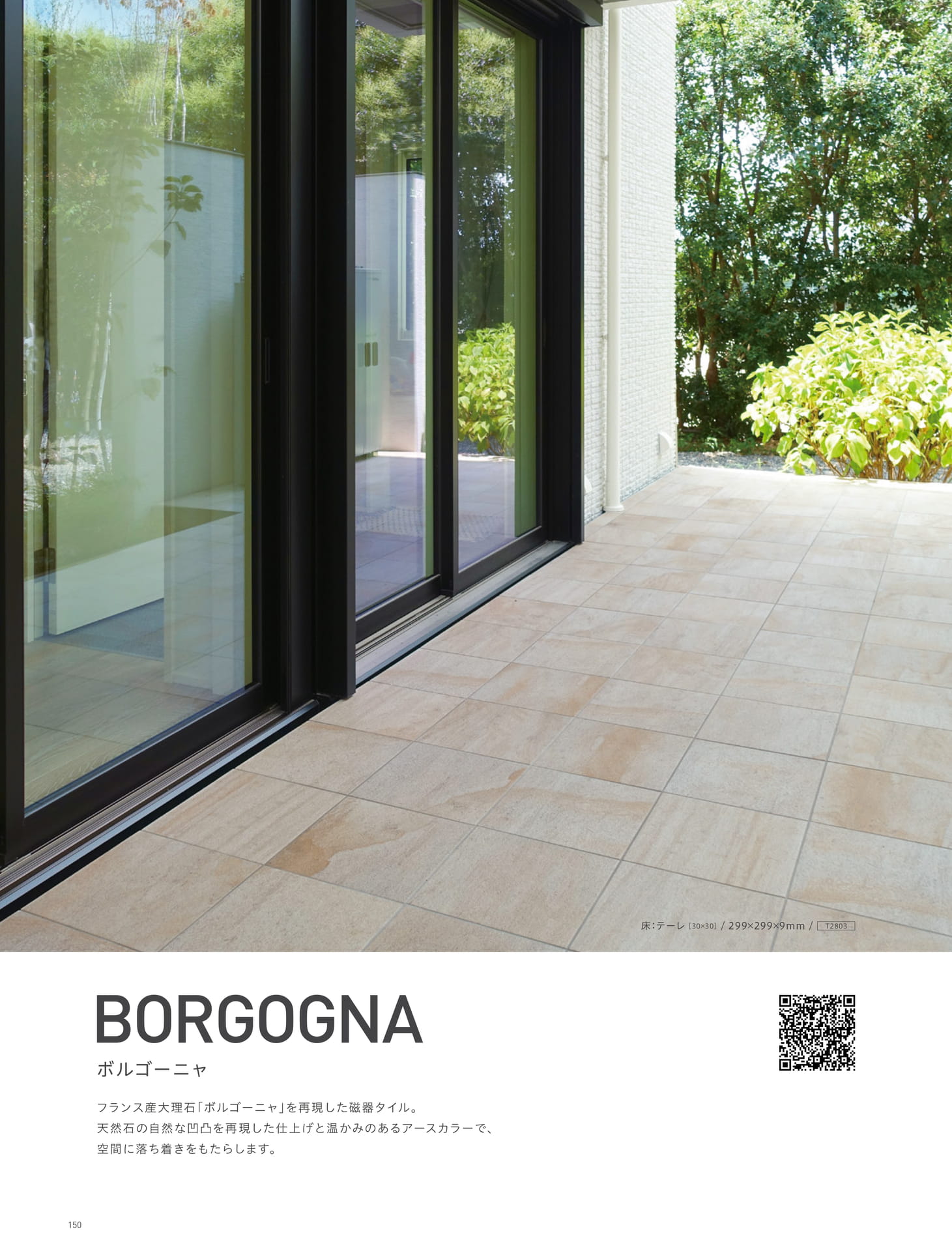BORGOGNA ボルゴーニャ 