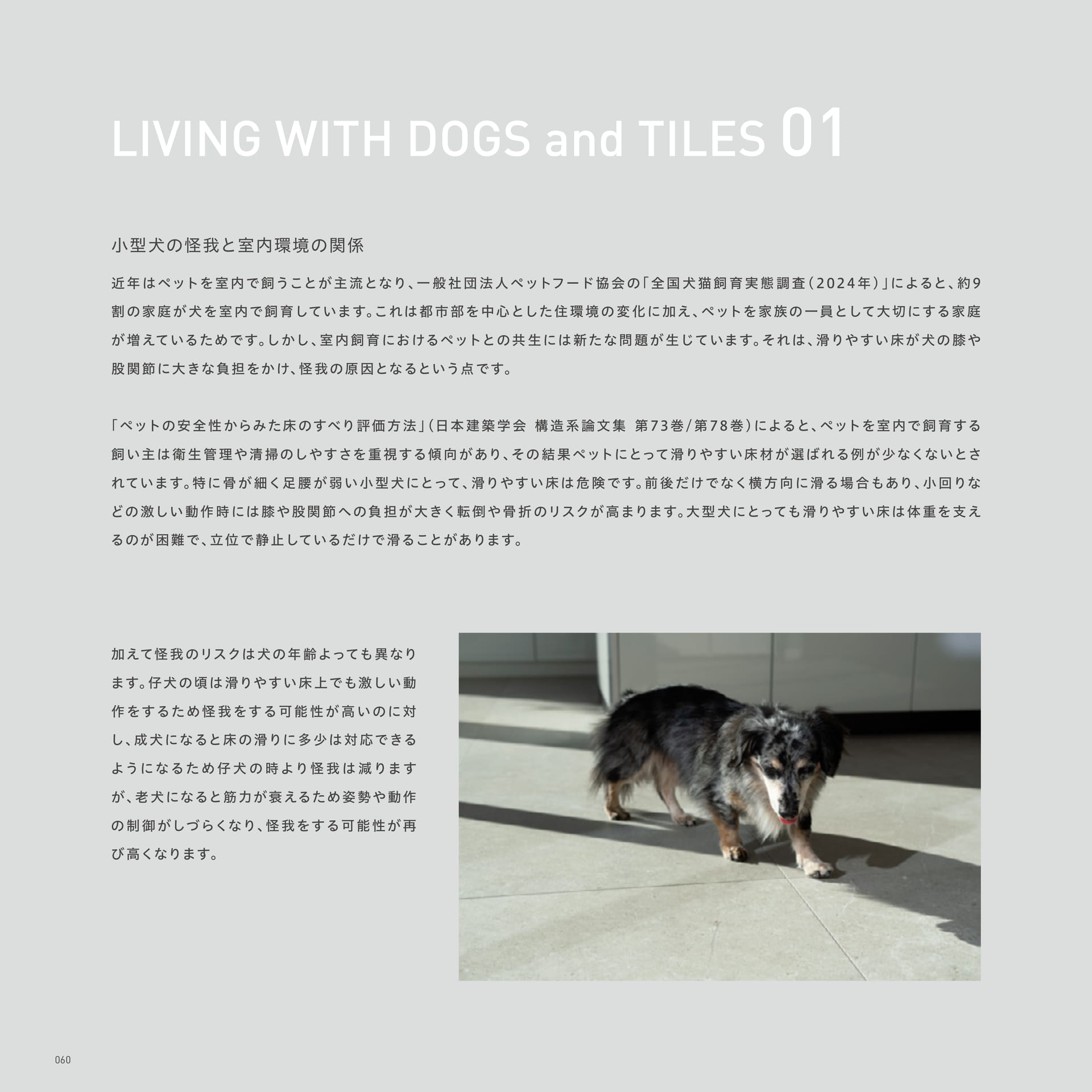 LIVING WITH DOGS and TILES 01