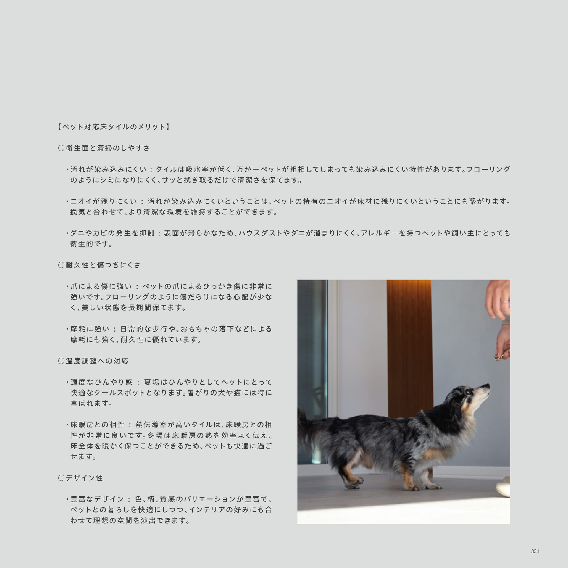 LIVING WITH DOGS and TILES 02