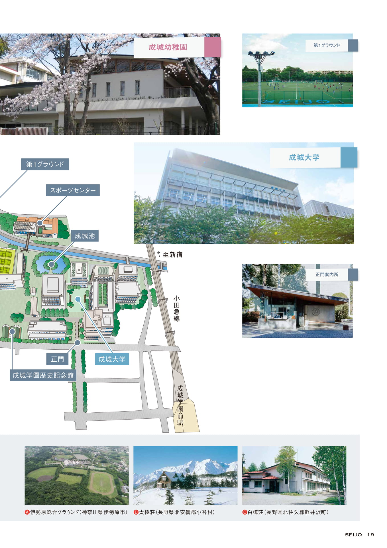 Page 19