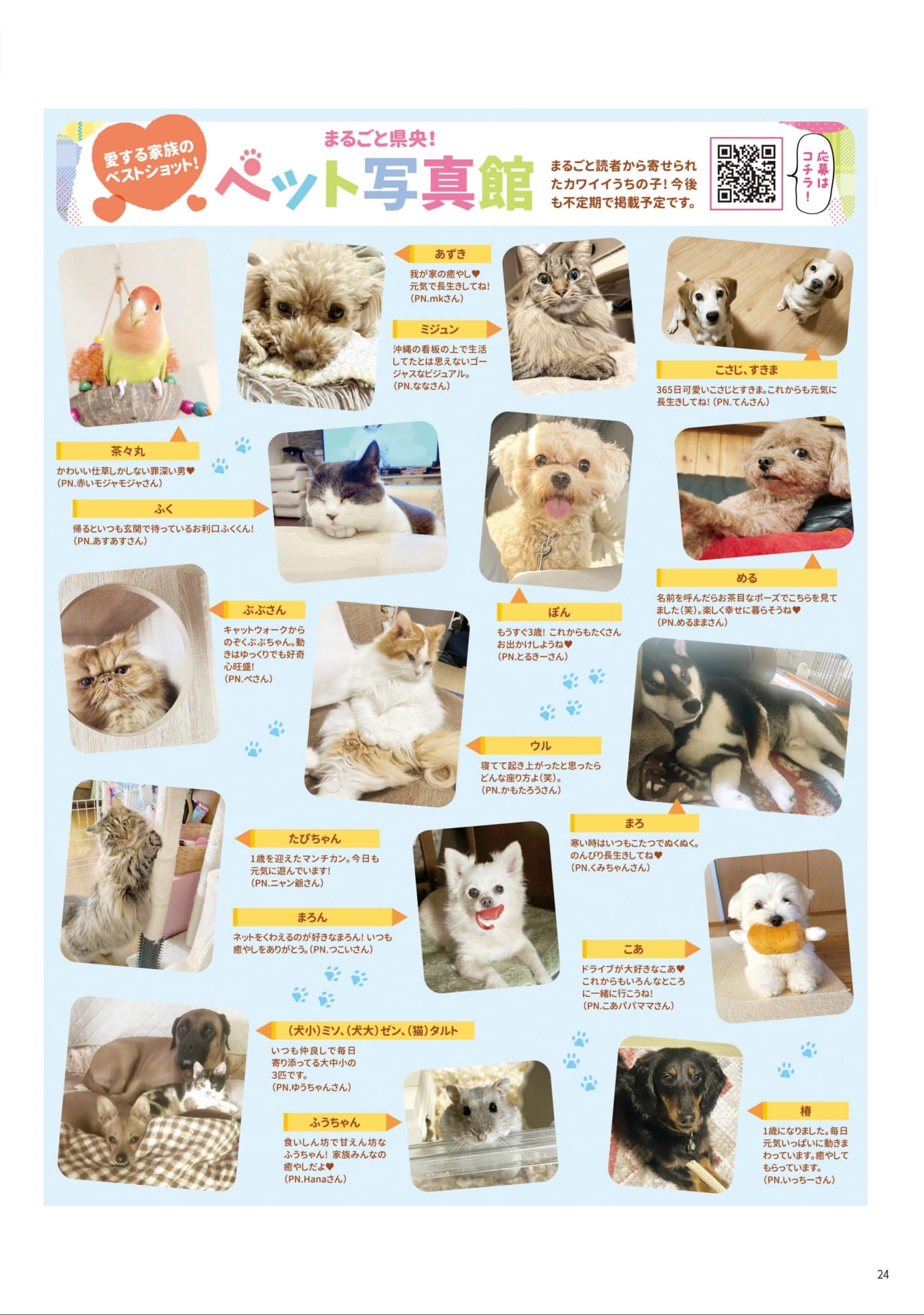 Page 24