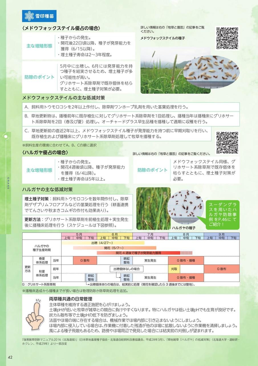 Page 42