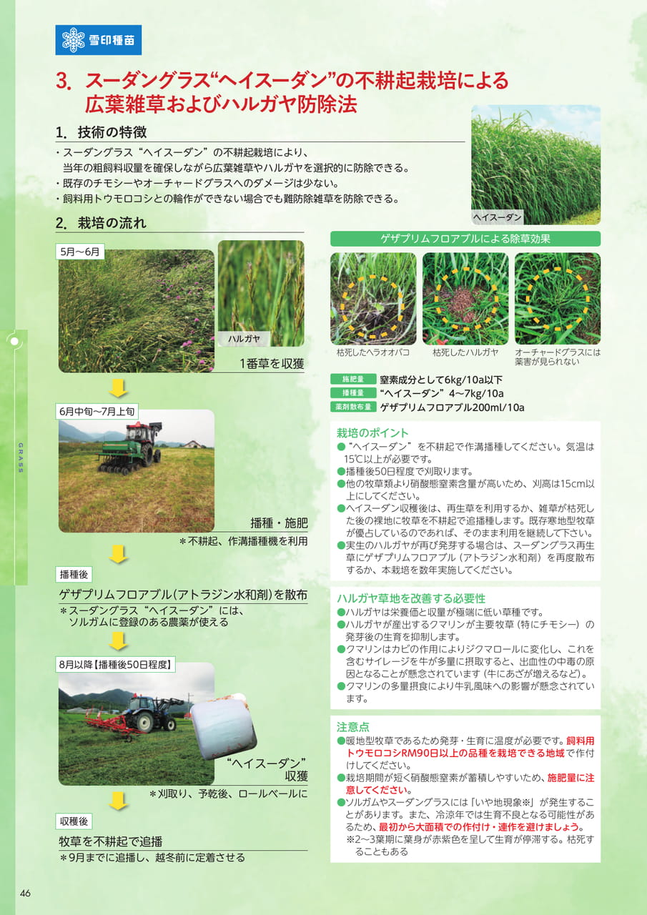 Page 46