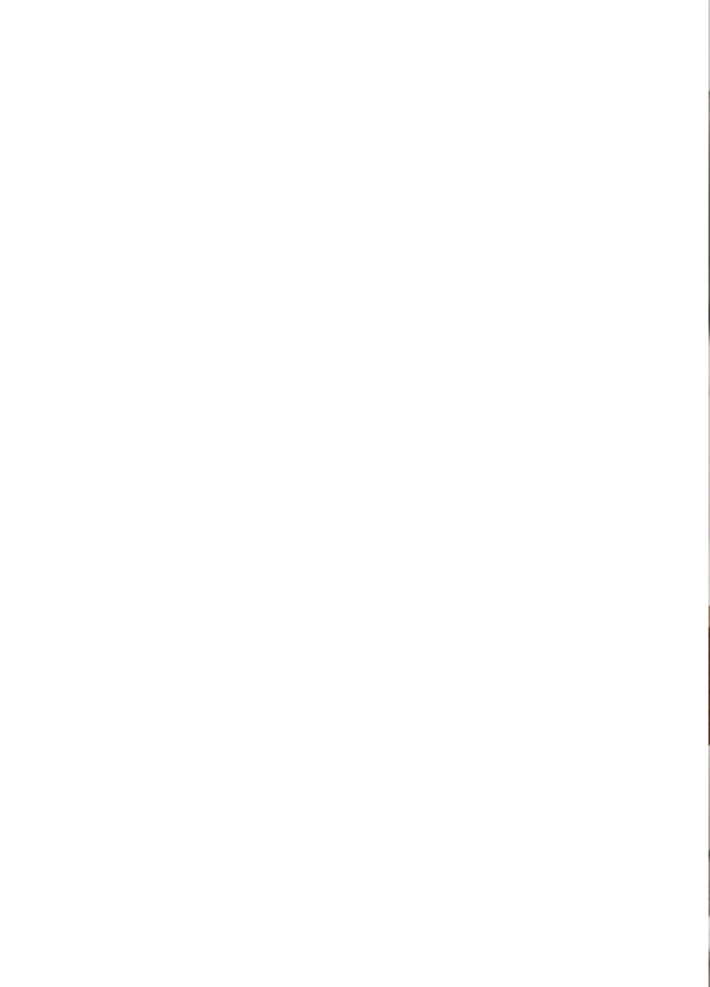 Page (追加)1