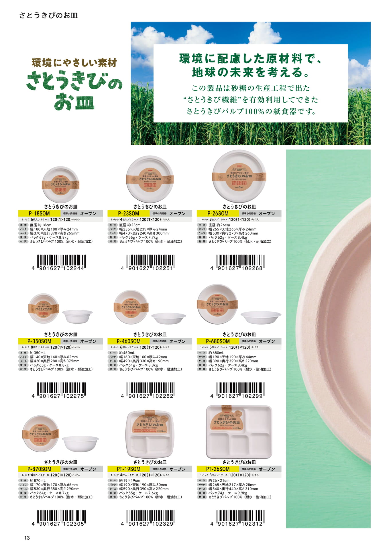 Page (追加)14