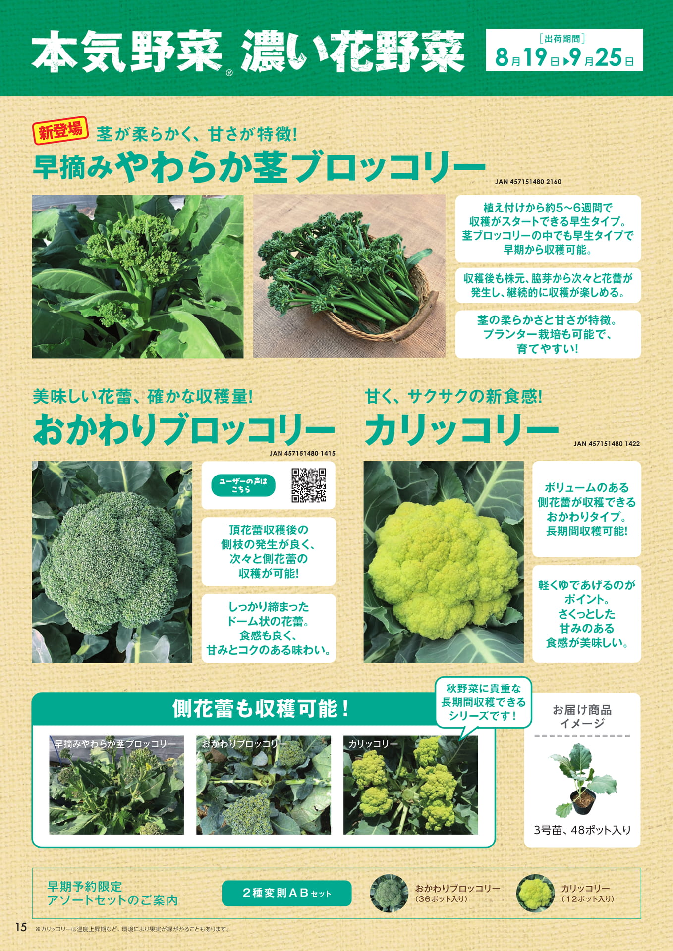 本気野菜濃い花野菜