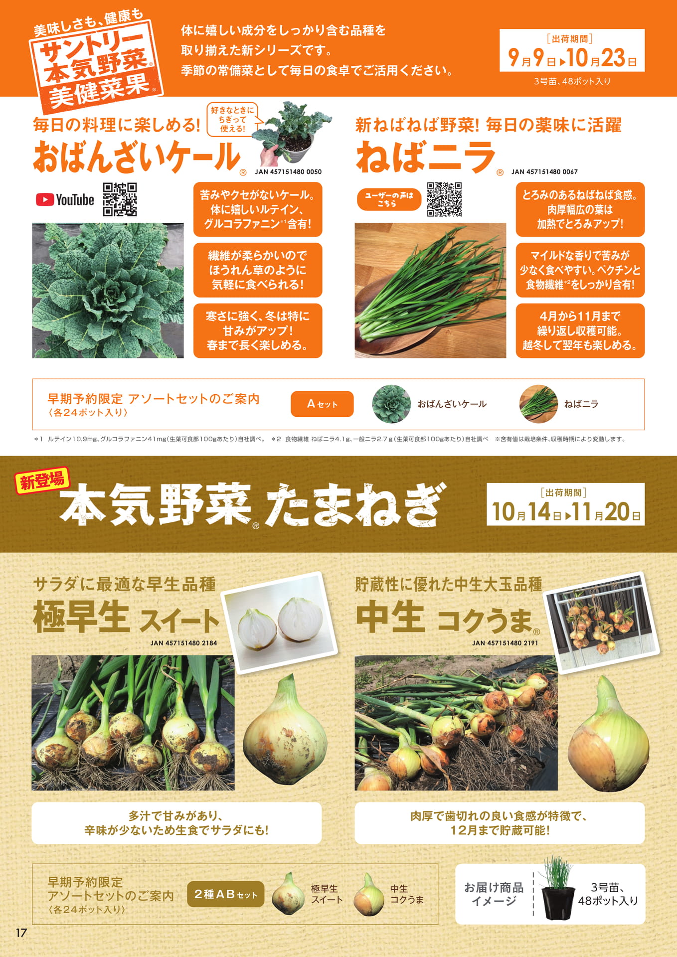 本気野菜美健菜果、本気野菜たまねぎ