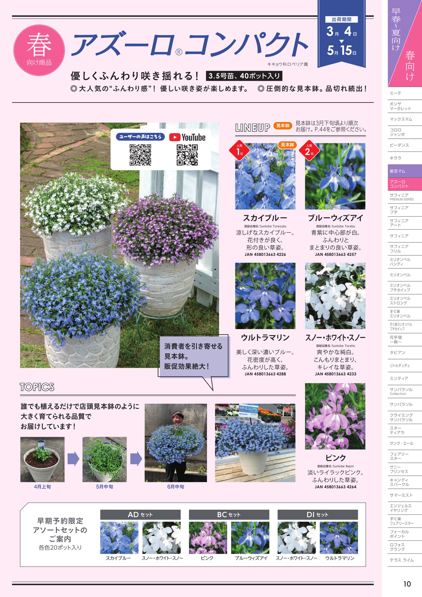 アズーロコンパクト