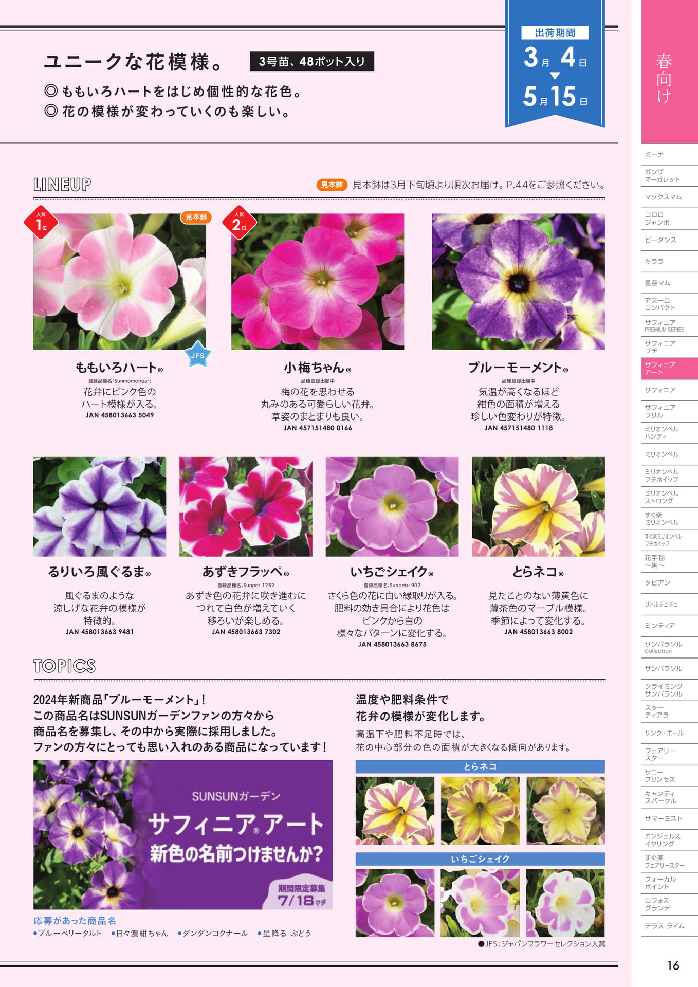 サフィニアアート（2/2）