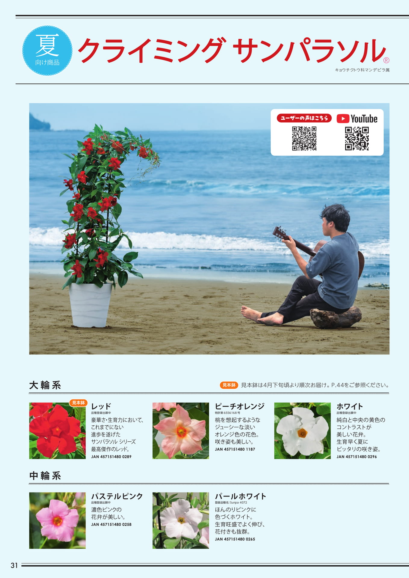 クライミングサンパラソル（1/2）