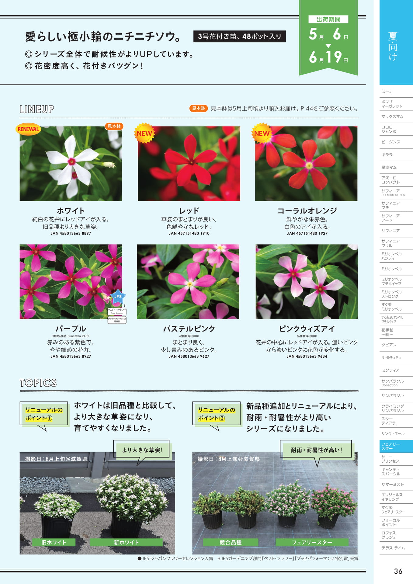 フェアリースター（2/2）
