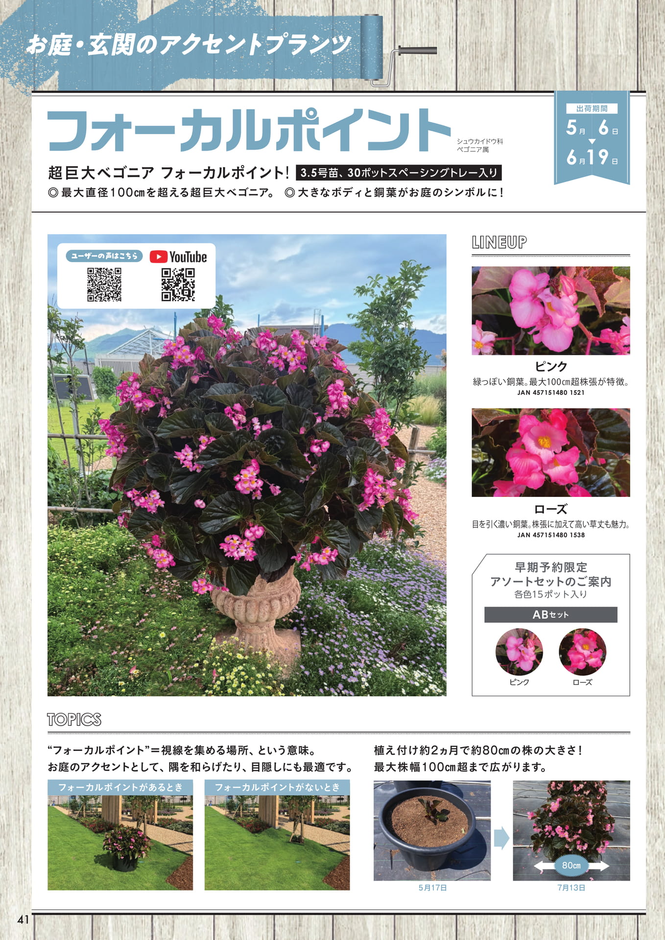 フォーカルポイント