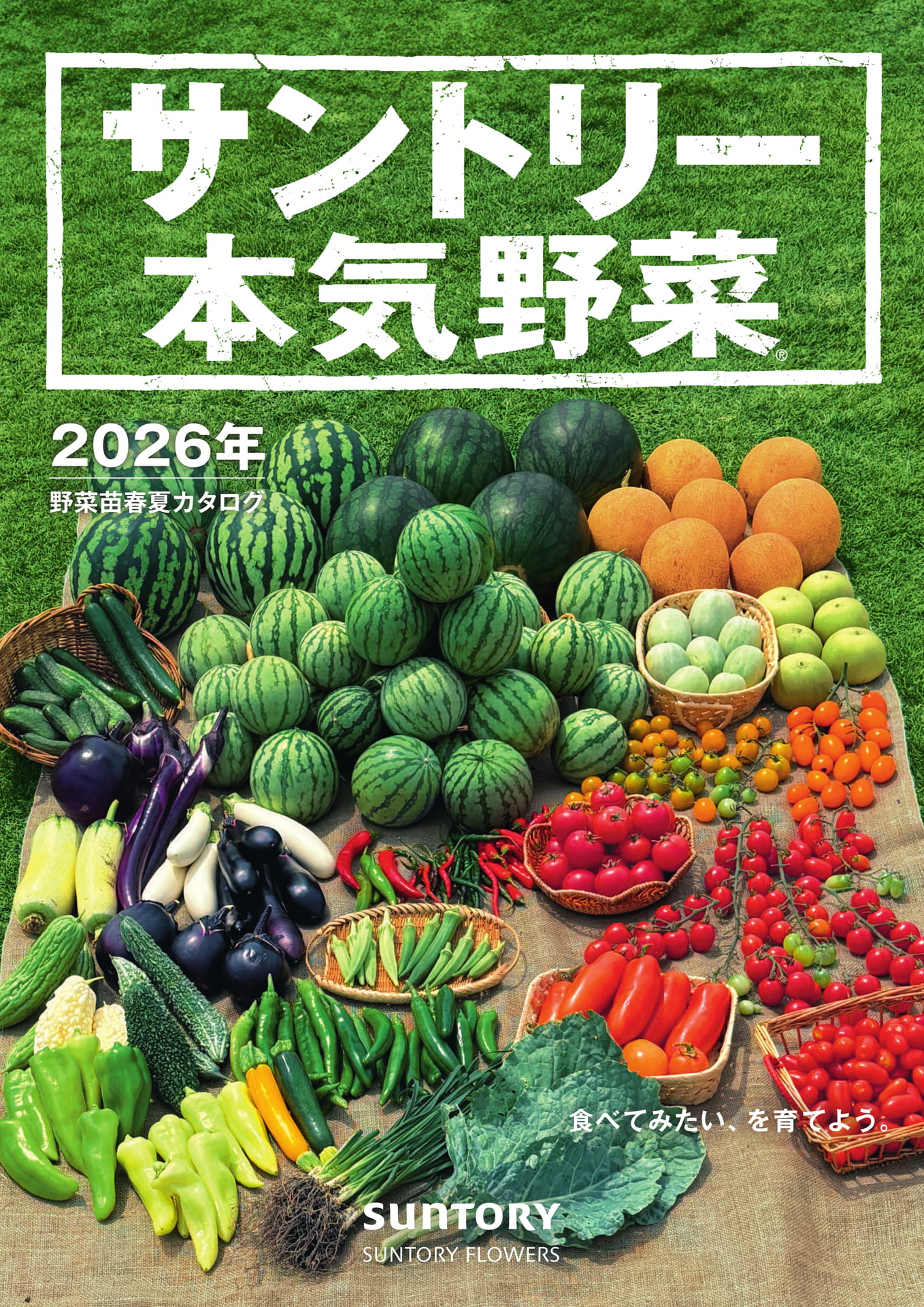 野菜 hana888 WELPAC NANOHANA RAPE BLOSSOMS FROZEN 20/1.00 # - JFC International