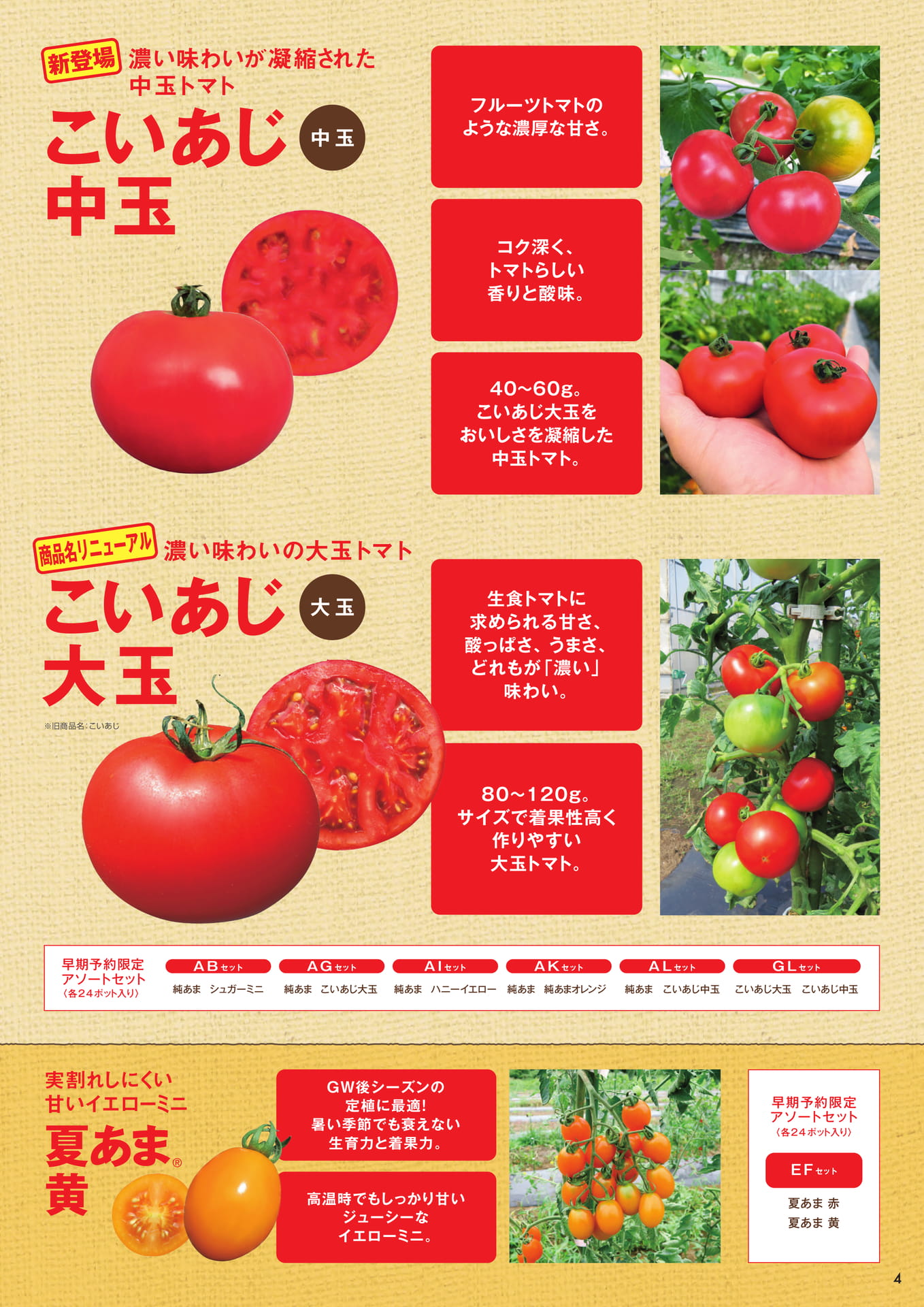 本気野菜トマト（4/6）あまさセレクト、夏植えトマト