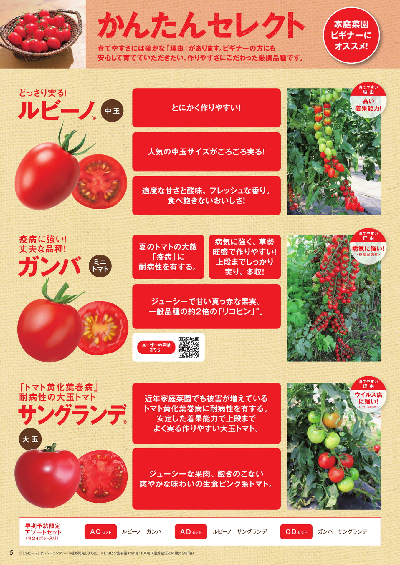 本気野菜トマト（5/6）かんたんセレクト