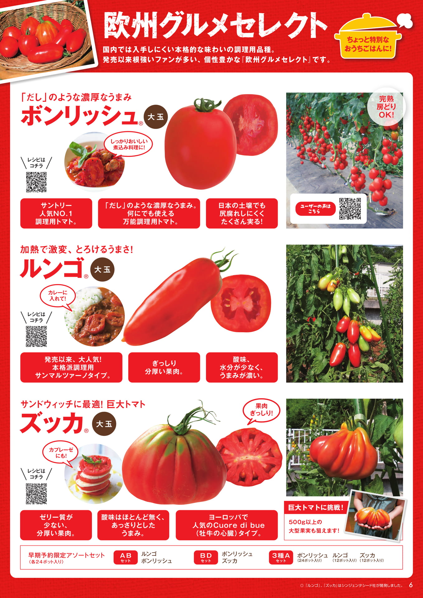 本気野菜トマト（6/6）欧州グルメセット