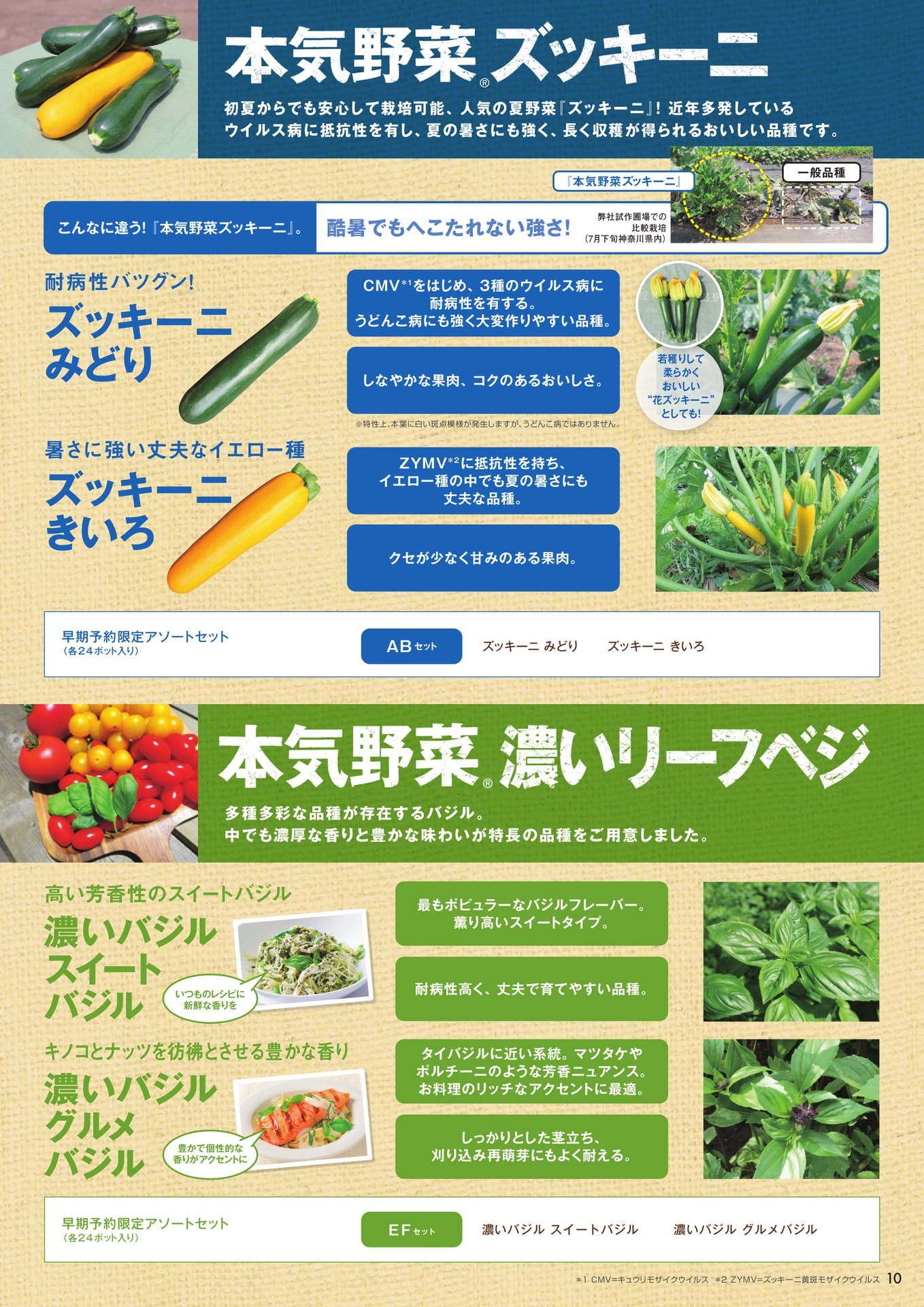 本気野菜ズッキーニ、濃いリーフベジ
