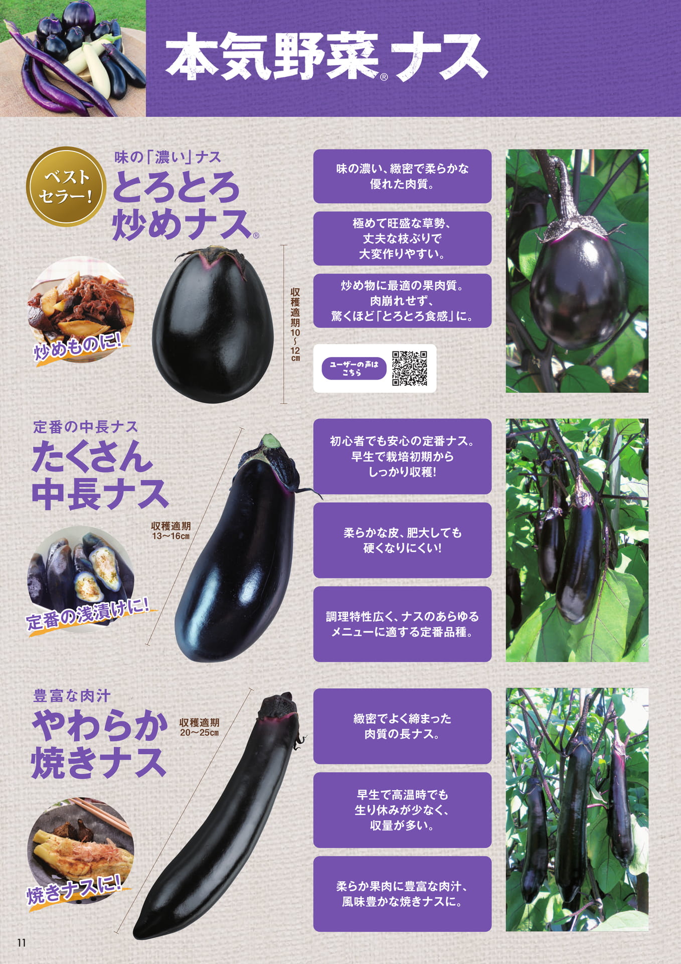 本気野菜ナス（1/2）