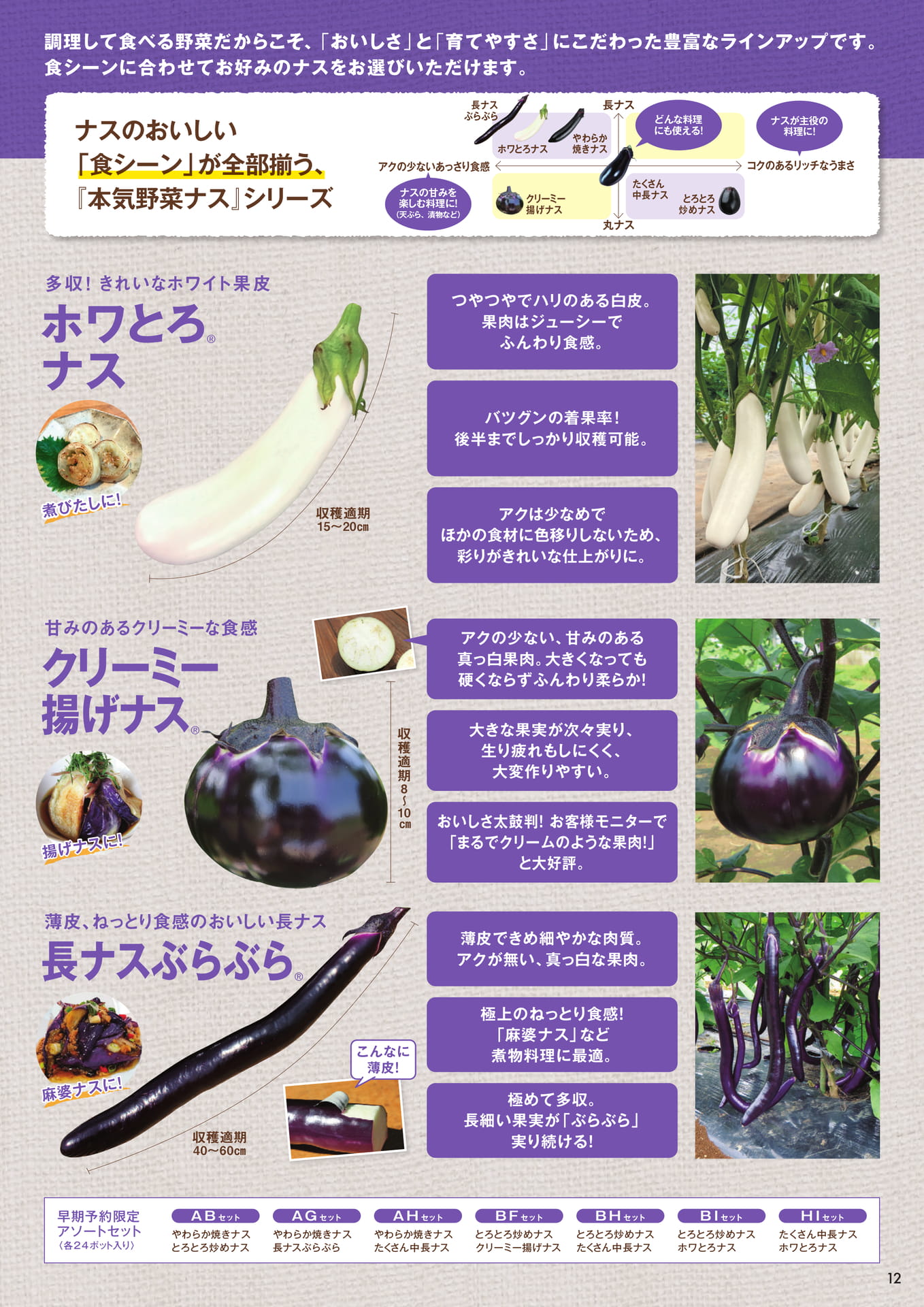 本気野菜ナス（2/2）