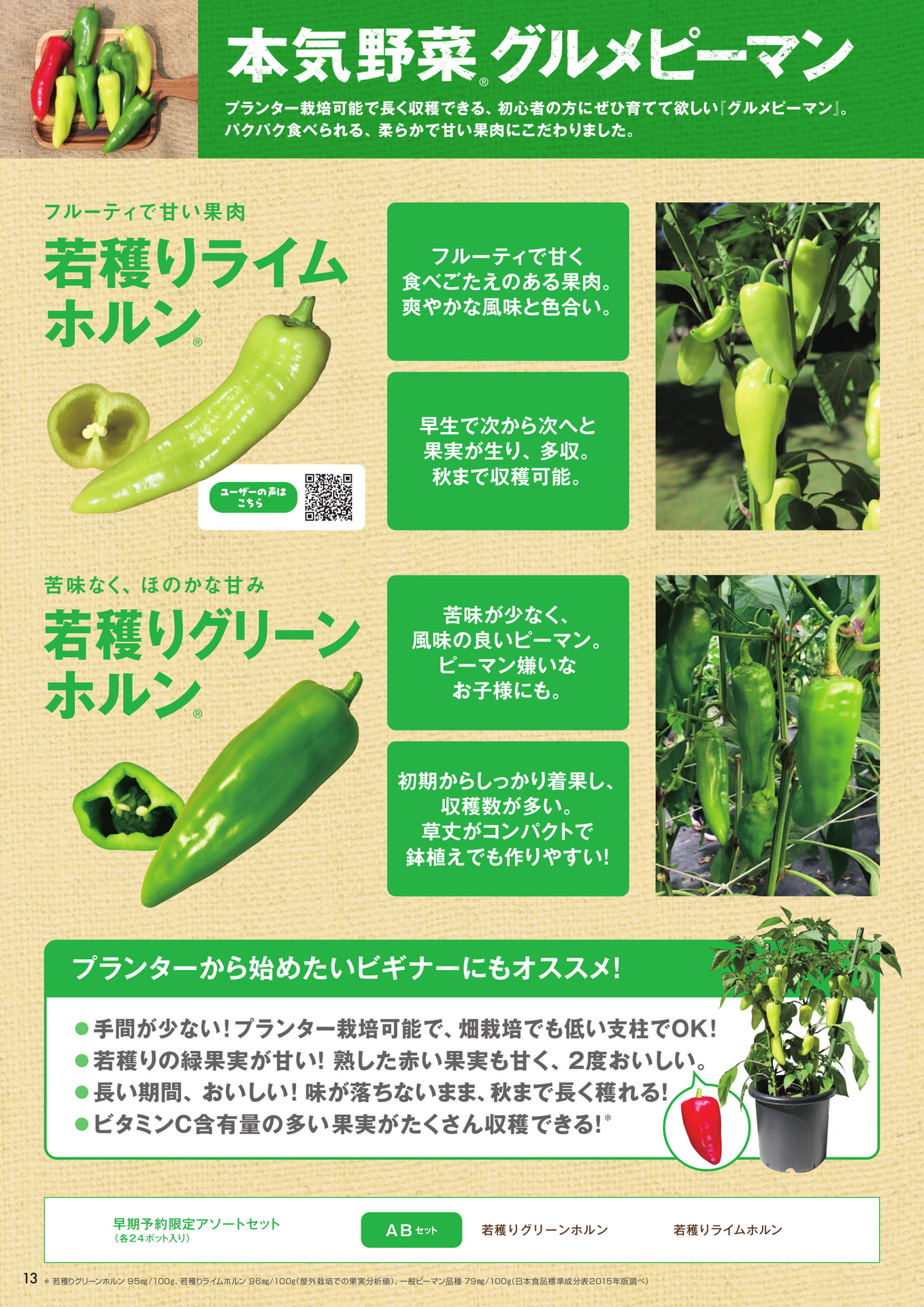 本気野菜グルメピーマン