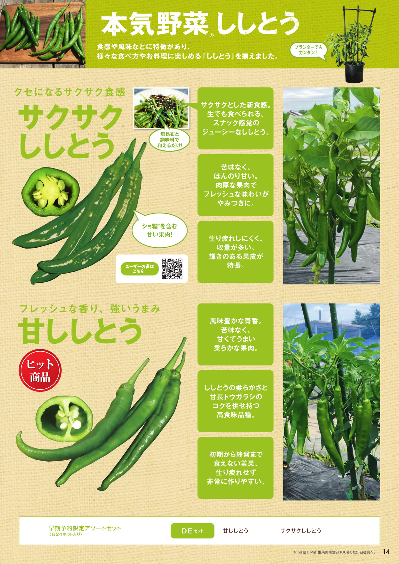 本気野菜ししとう