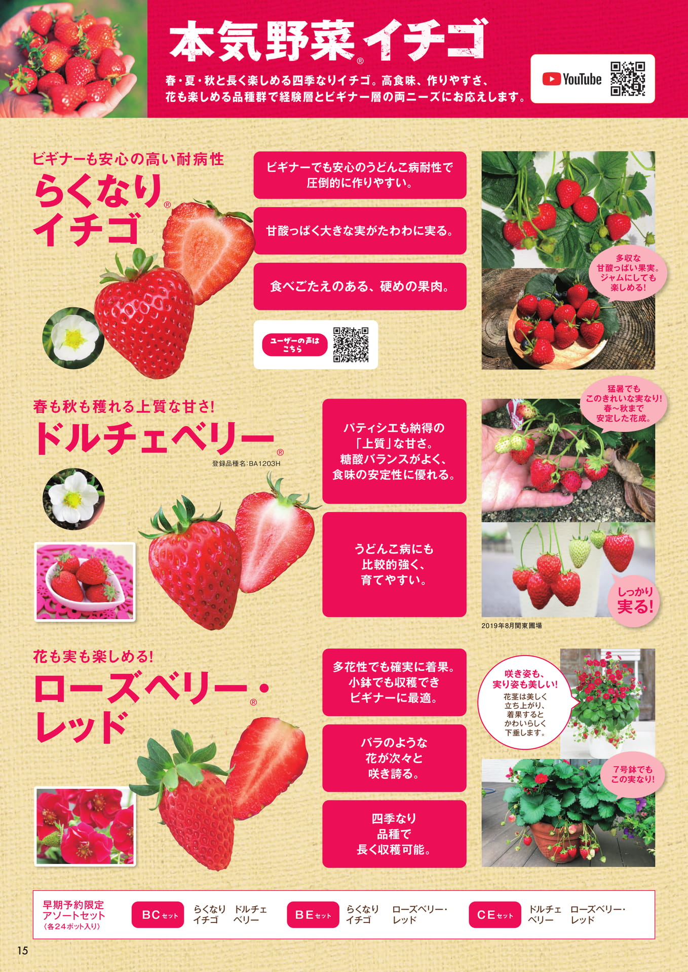 本気野菜イチゴ