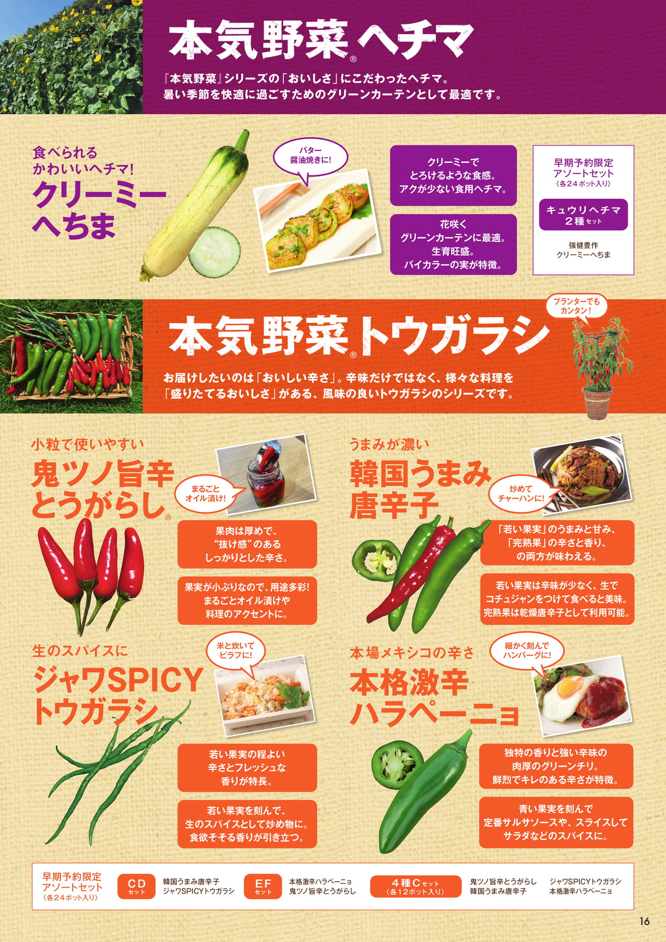 本気野菜ヘチマ、トウガラシ