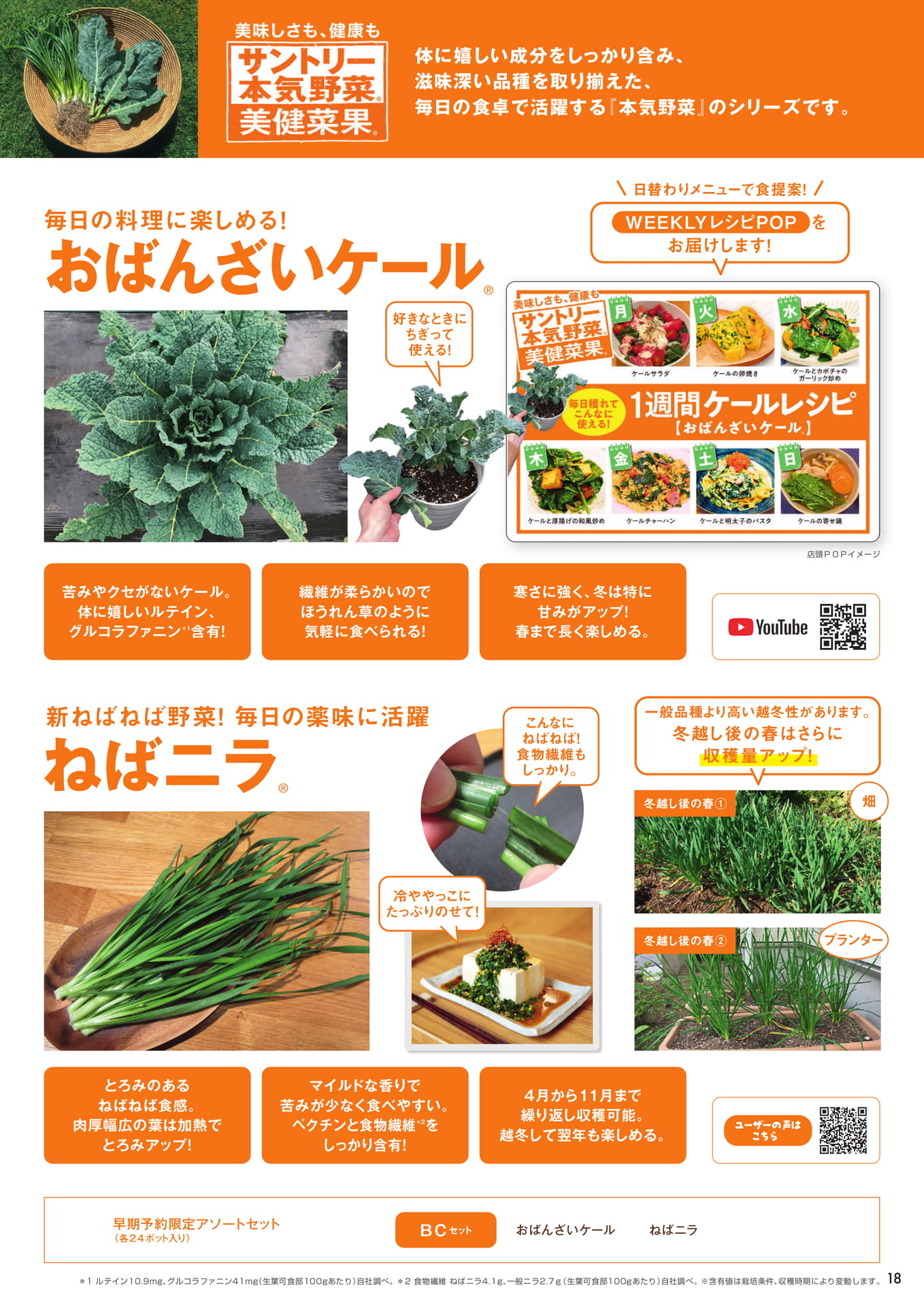 本気野菜美健菜果