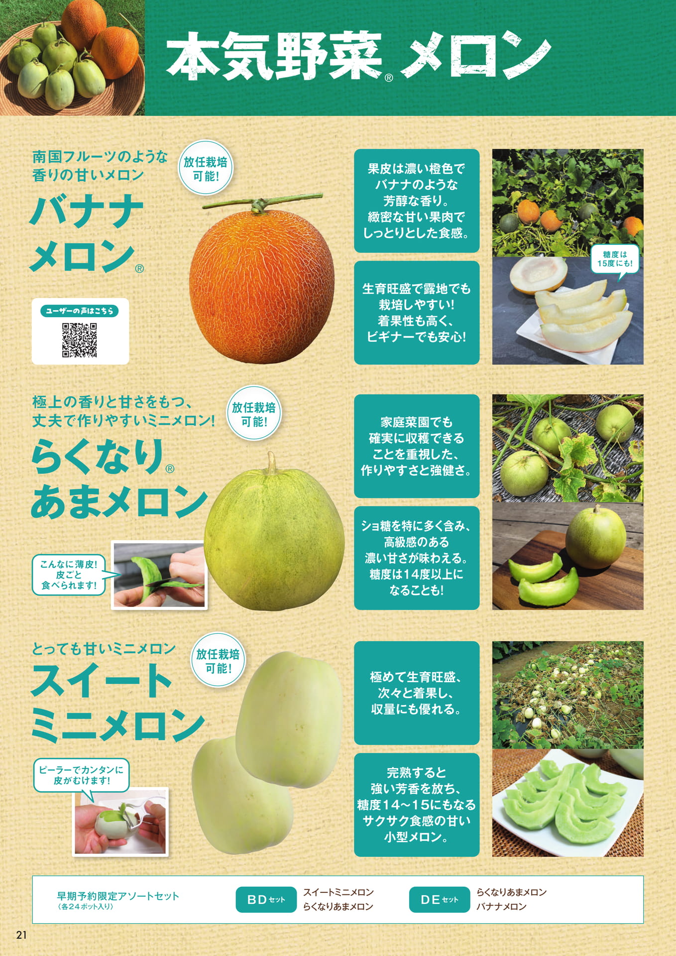 本気野菜メロン（1/2）