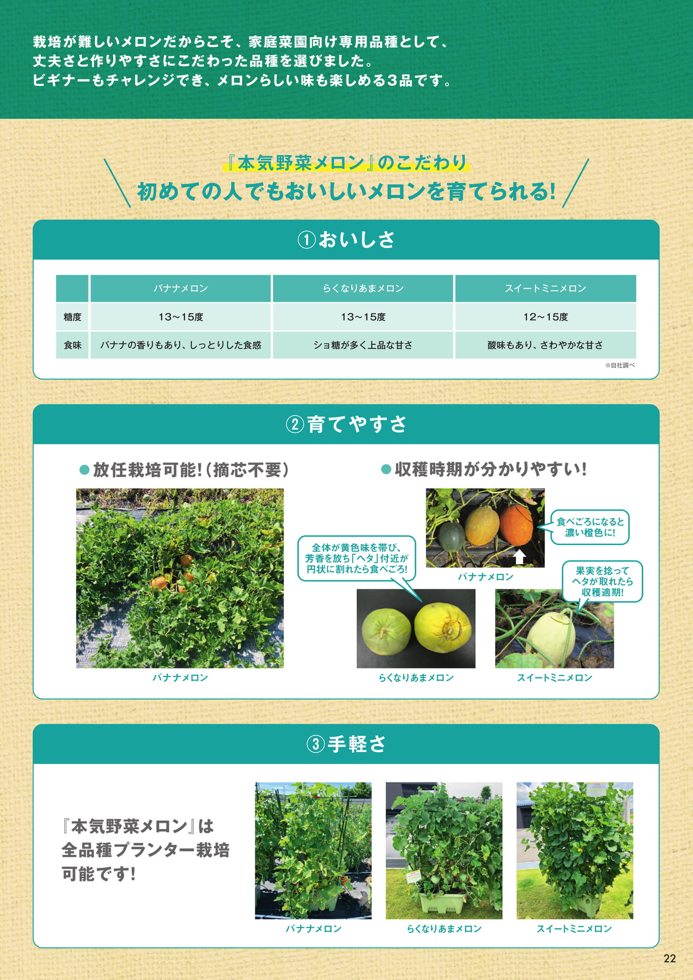 本気野菜メロン（2/2）