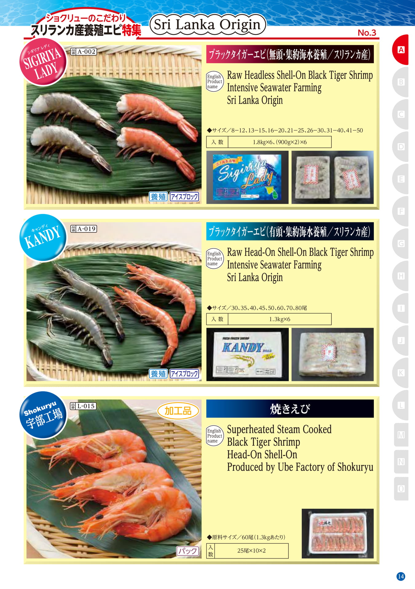 Shrimp