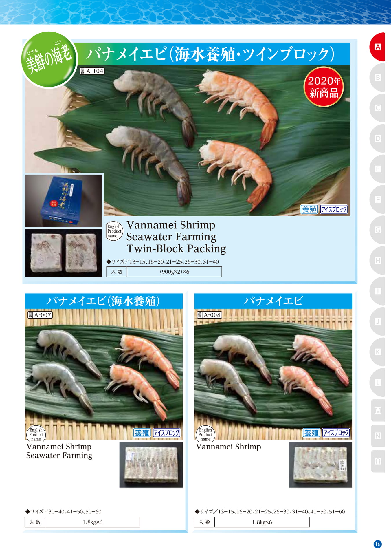 Shrimp